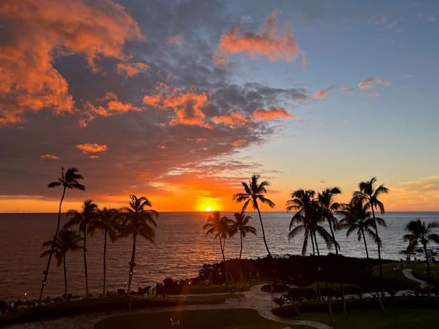 Beautiful view of an orange and blue sunset over the sea with several palm trees in silhouette