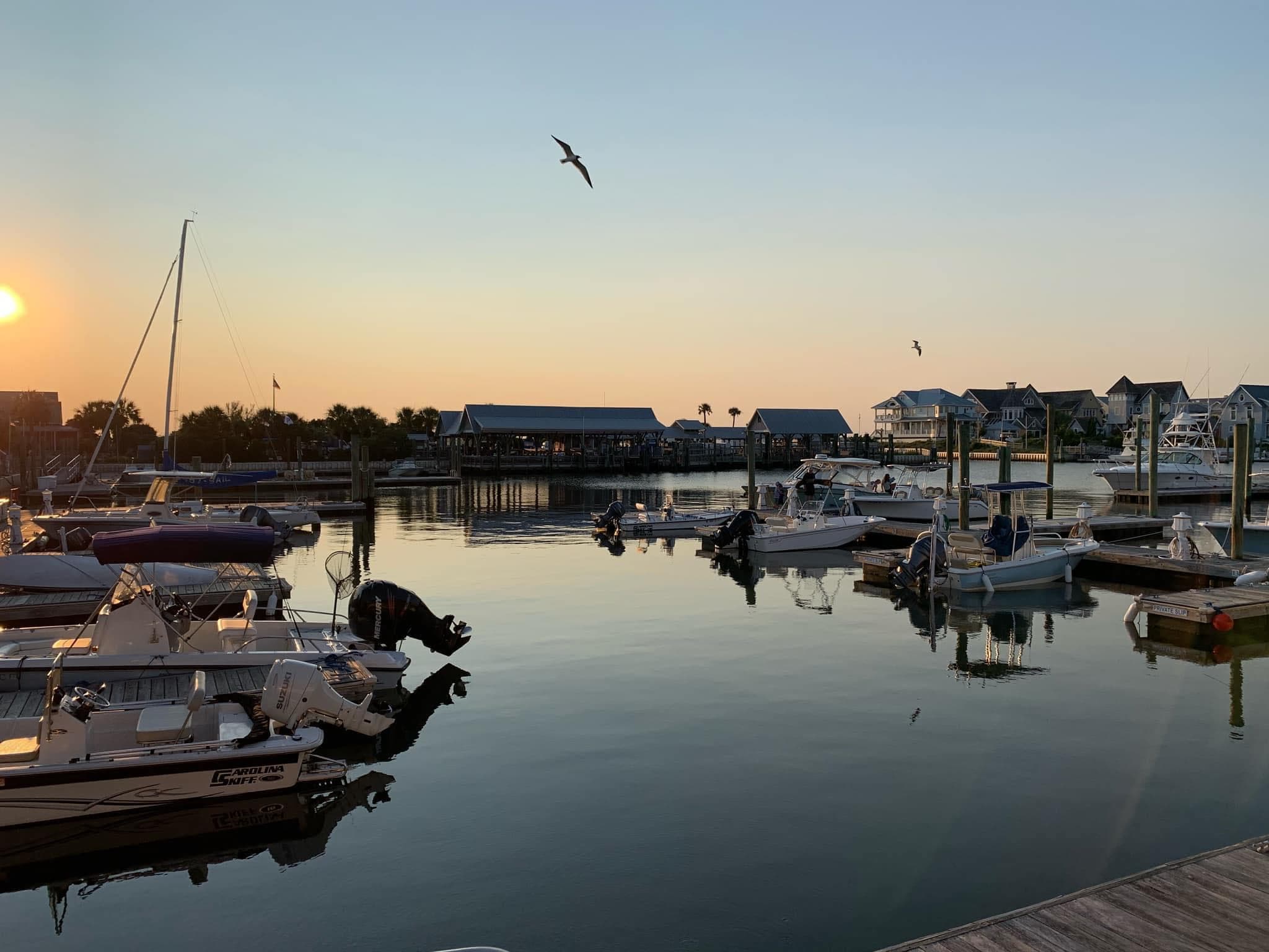 View of several small boats docked in a marina with glassy water and a bird flying overhead