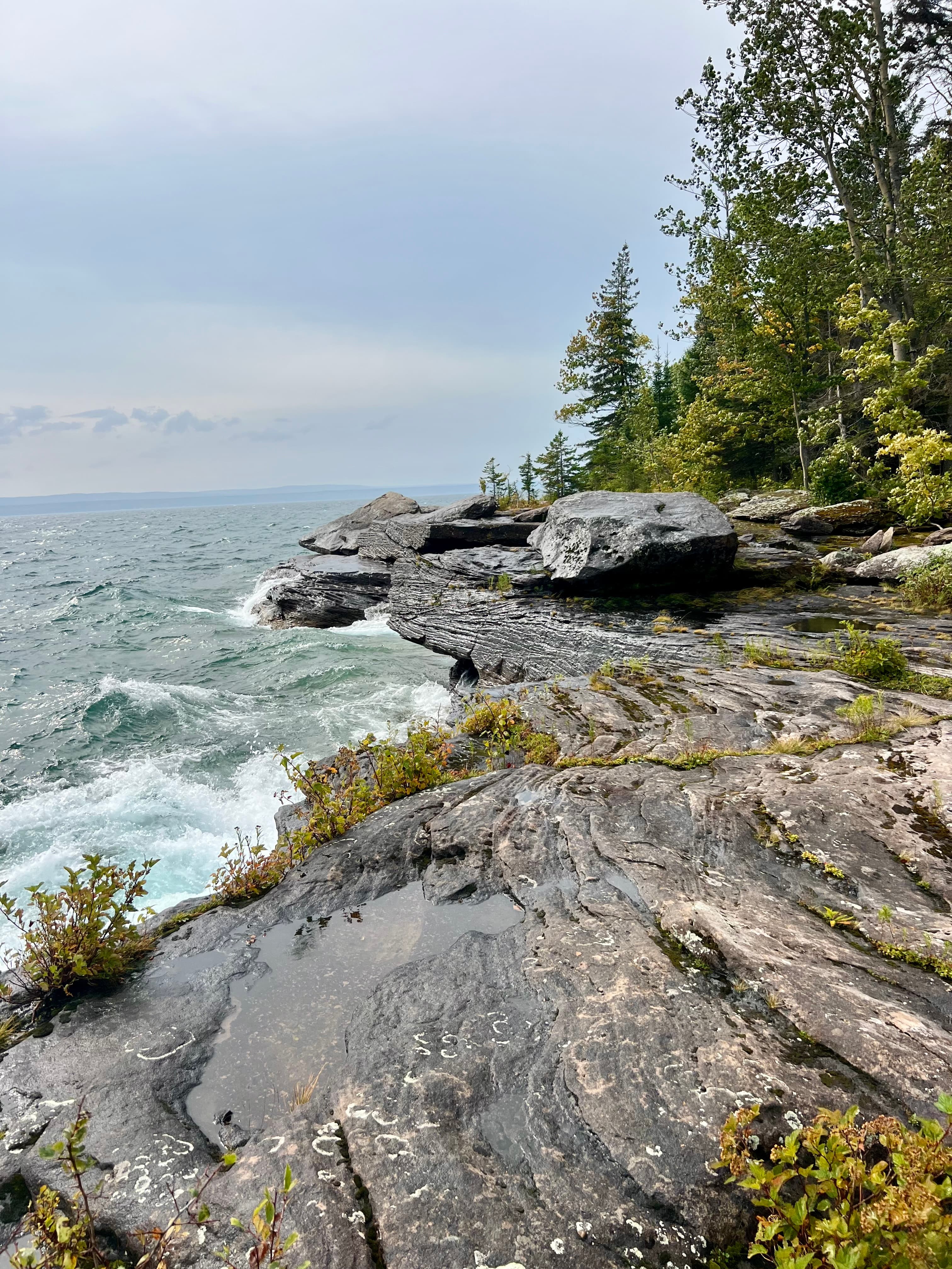 Beautiful coastal view with rocky cliffs and green trees on a cloudy day