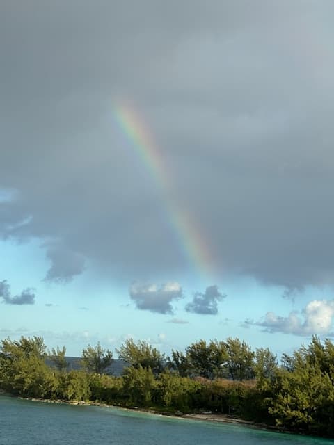 View of a rainbow visible against a dark grey cloud over the sea
