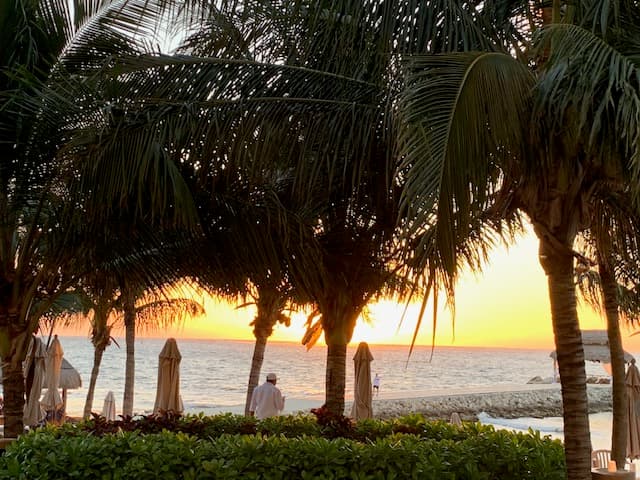 Beautiful view of a bright orange sunset over the sea with large palm trees in the foreground