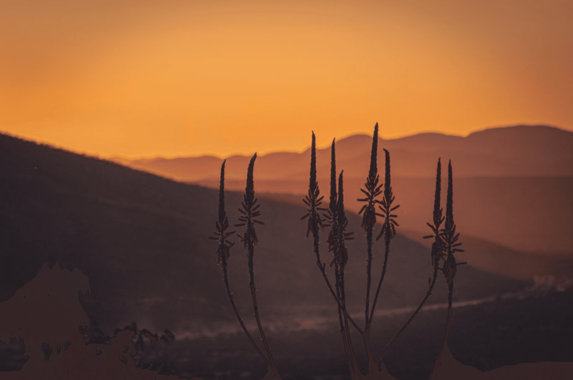 Orange sunset views.