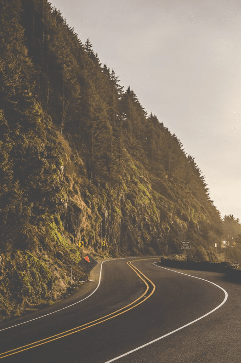 Hillside views from the road.