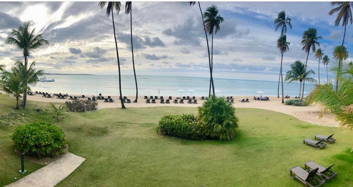 View of a resort beach with lines of empty lounge chairs on a sunny day