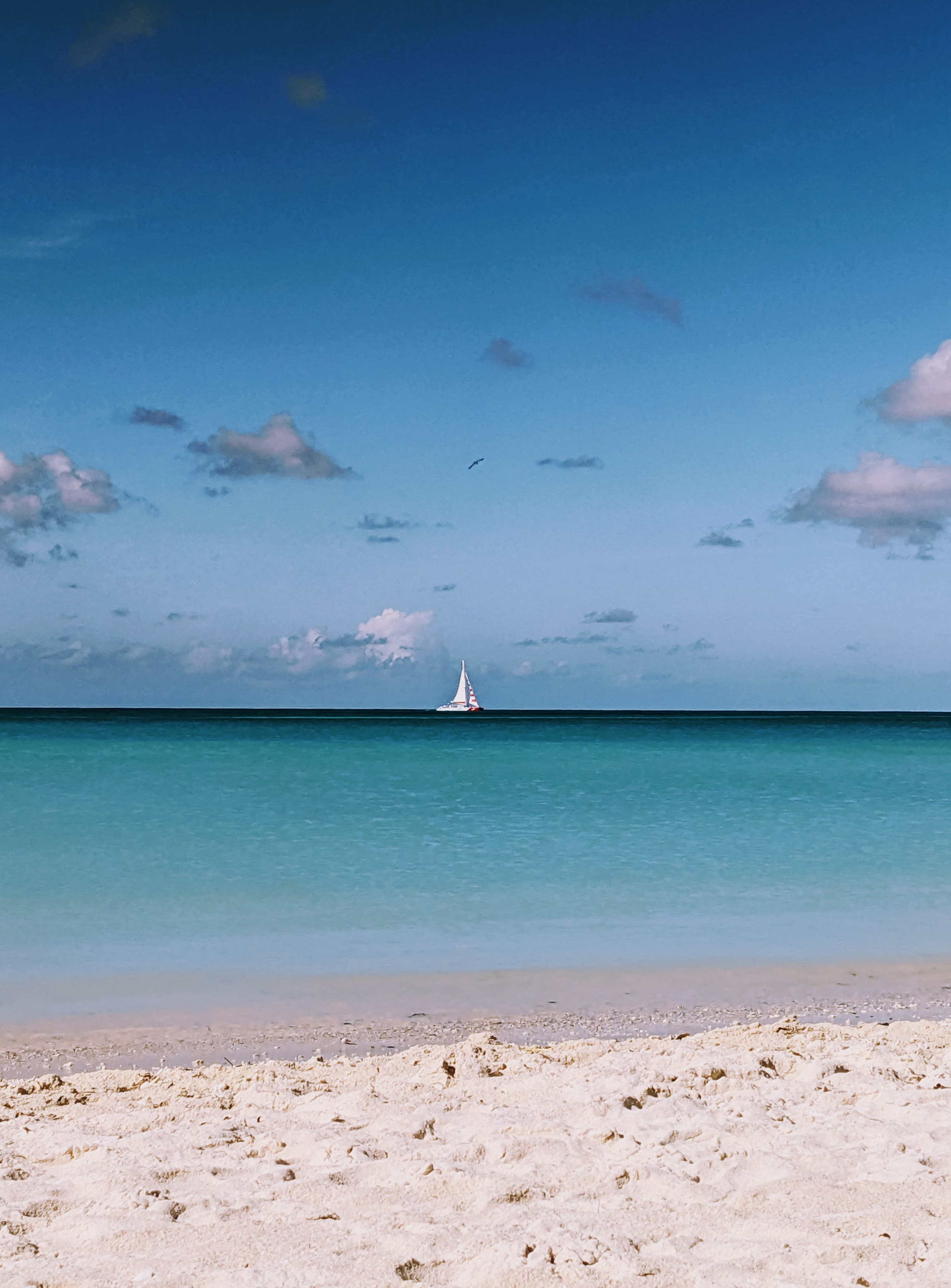 Beach in Aruba.