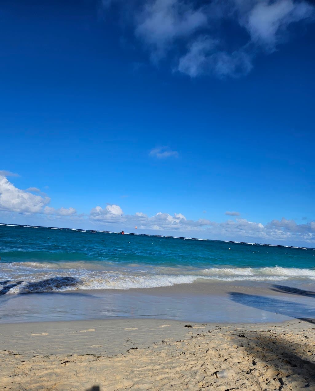 A view of the beach on a sunny day. 