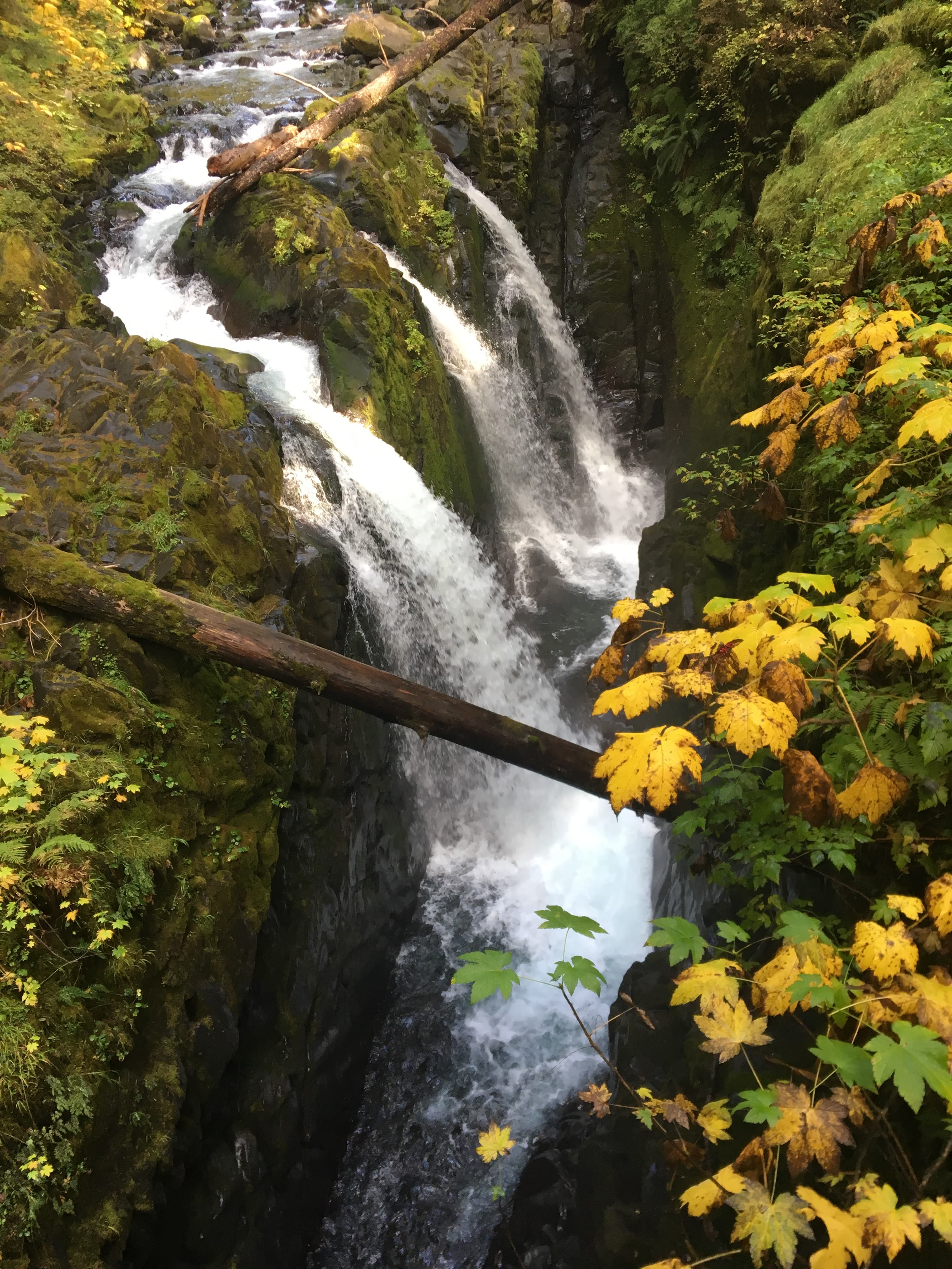 A waterfall over a narrow mossy canyon.
