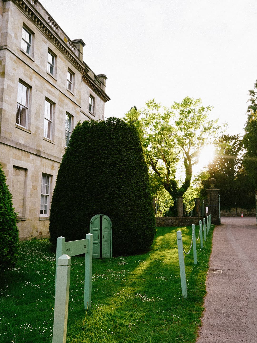 View of a grassy lawn and building with windows on a sunny evening