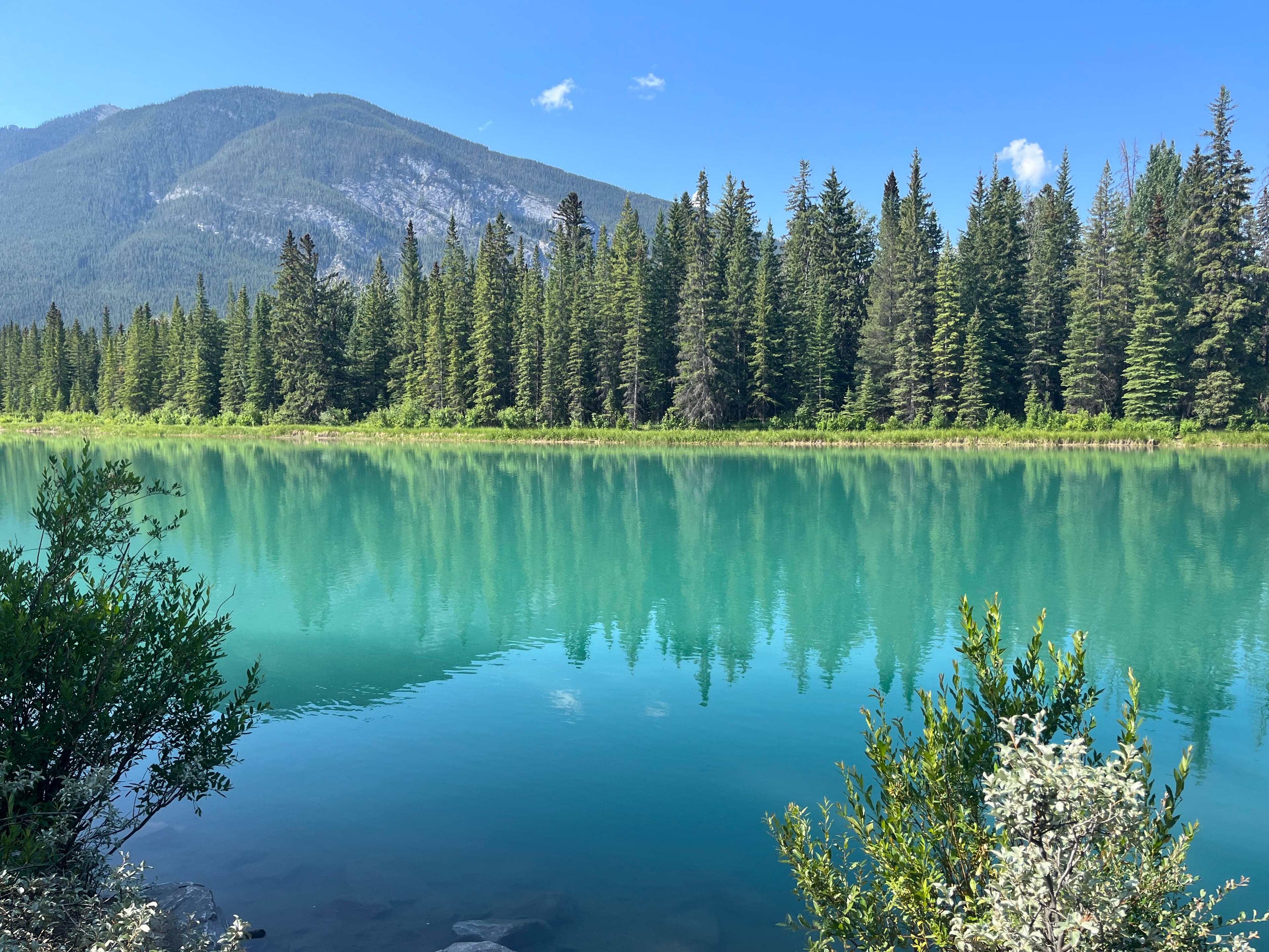 Beautiful view of a glassy blue lake surrounded by pine trees and mountains