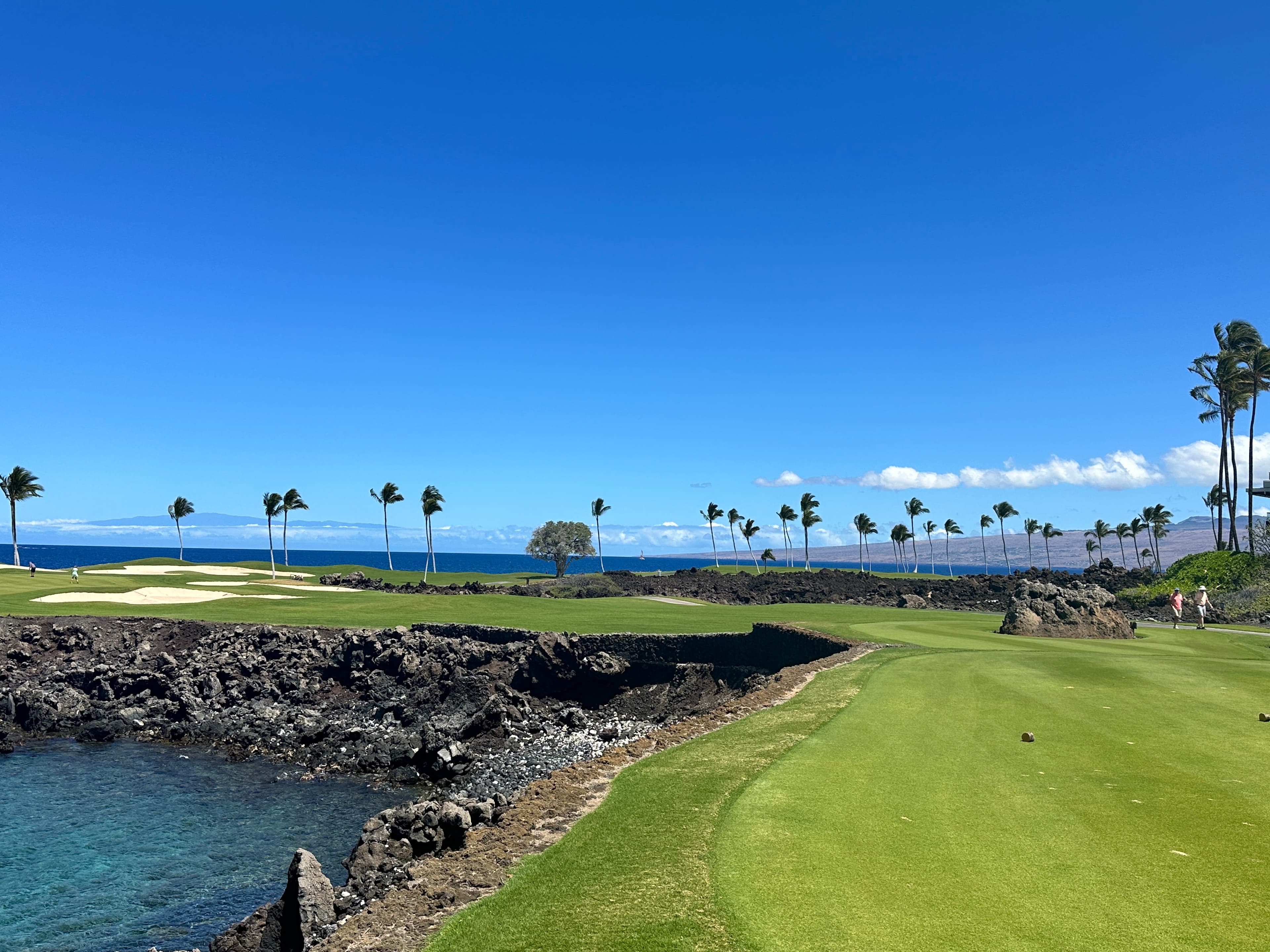 A golf course next to a body of water with palm trees in the surrounding area.