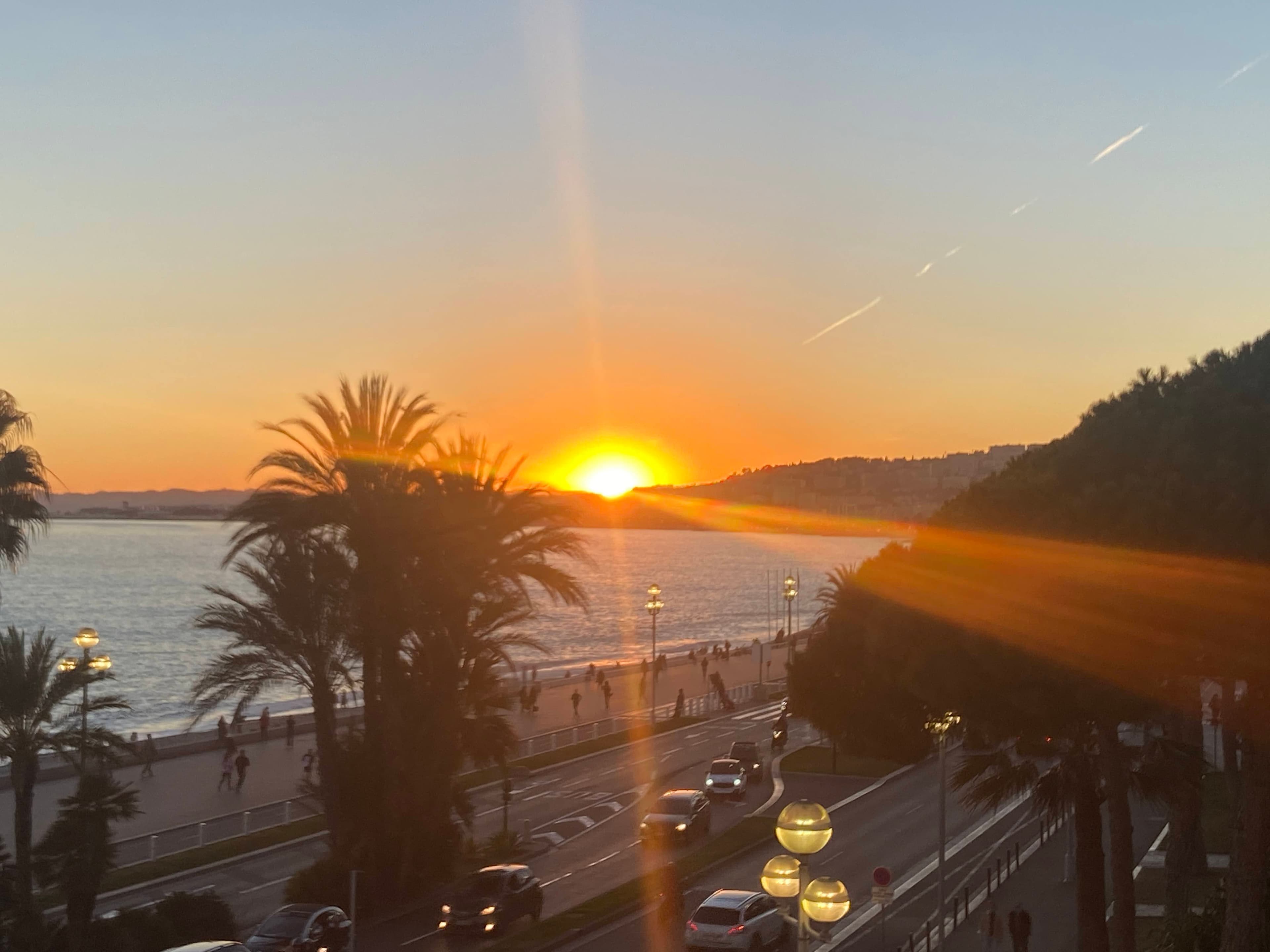 An orange and golden sunset and palm trees near a body of water.