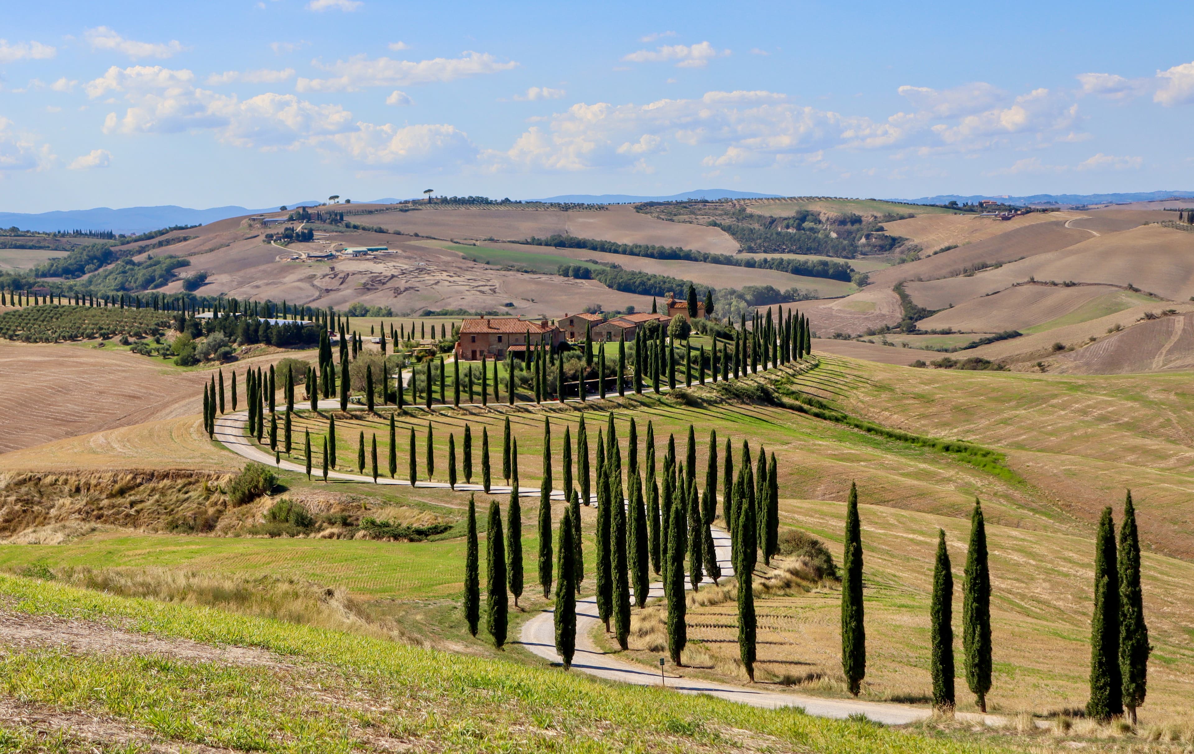 View of a winding road lined with trees in the Tuscan countryside on a sunny day