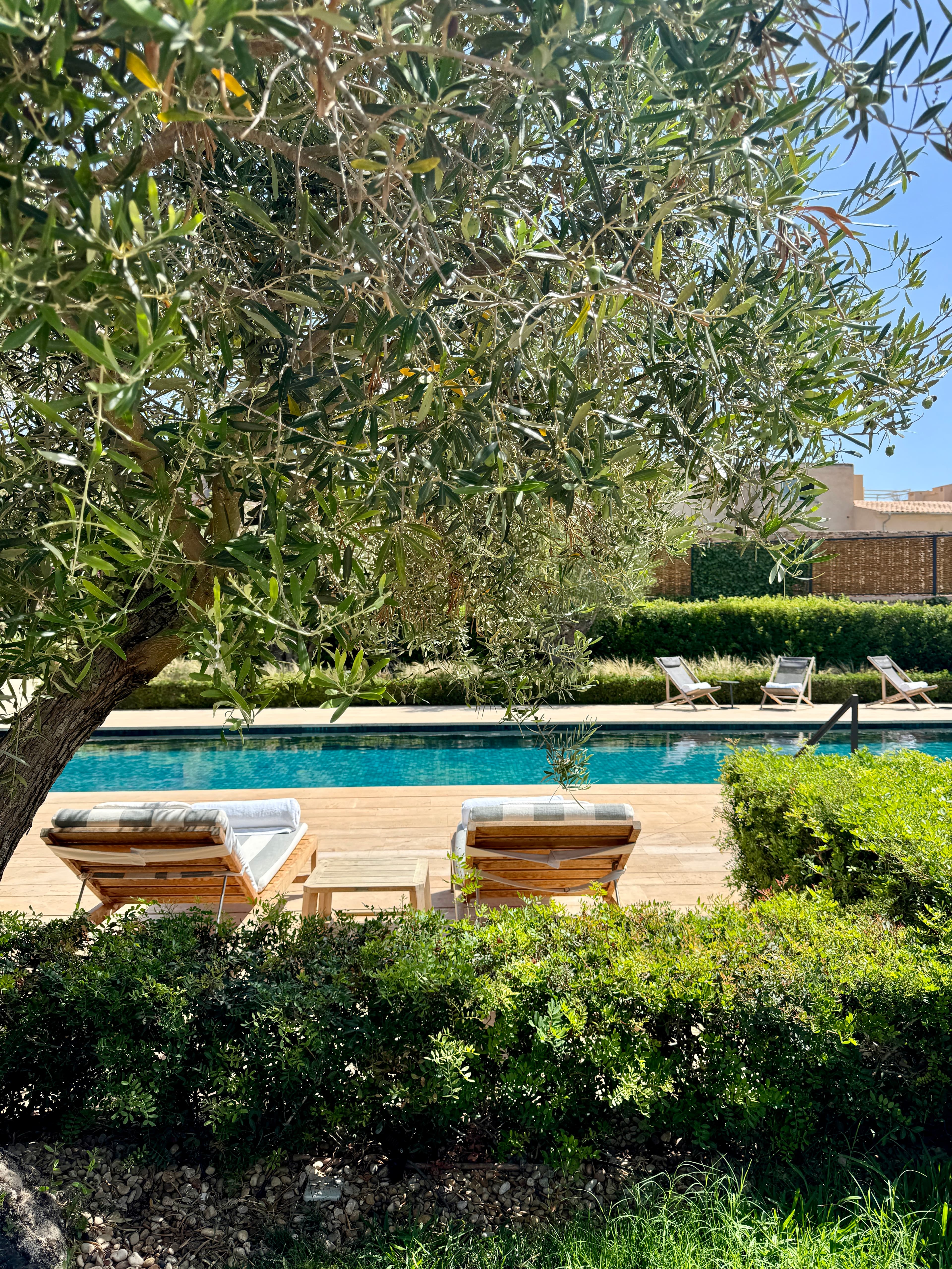 Sun beds by the pool.