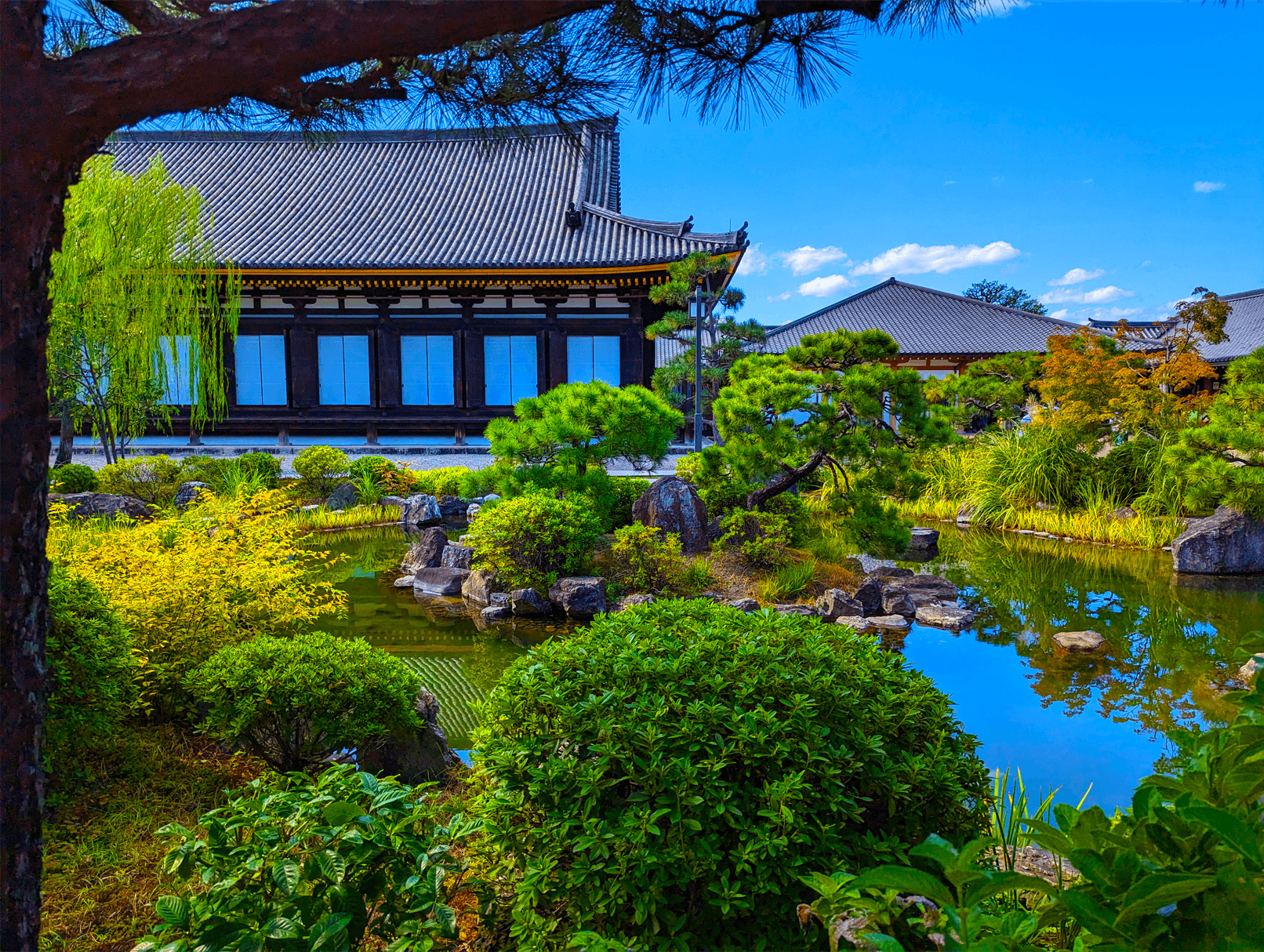 Lush foliage lines the shore of a reflecting pool in a Japanese garden. 