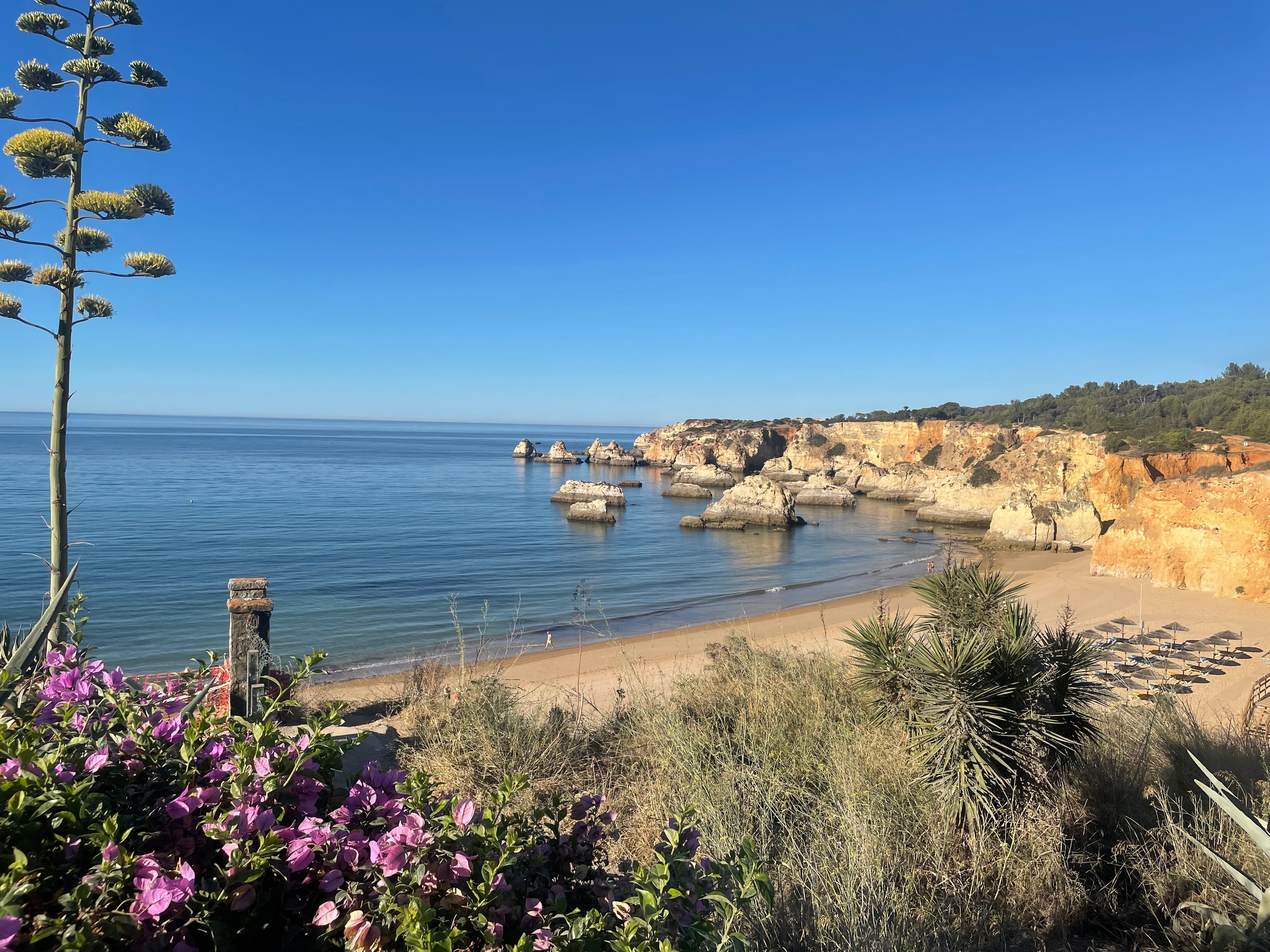 A scenic view of the Algarve region in Portugal, showcasing its stunning coastline and vibrant landscapes.