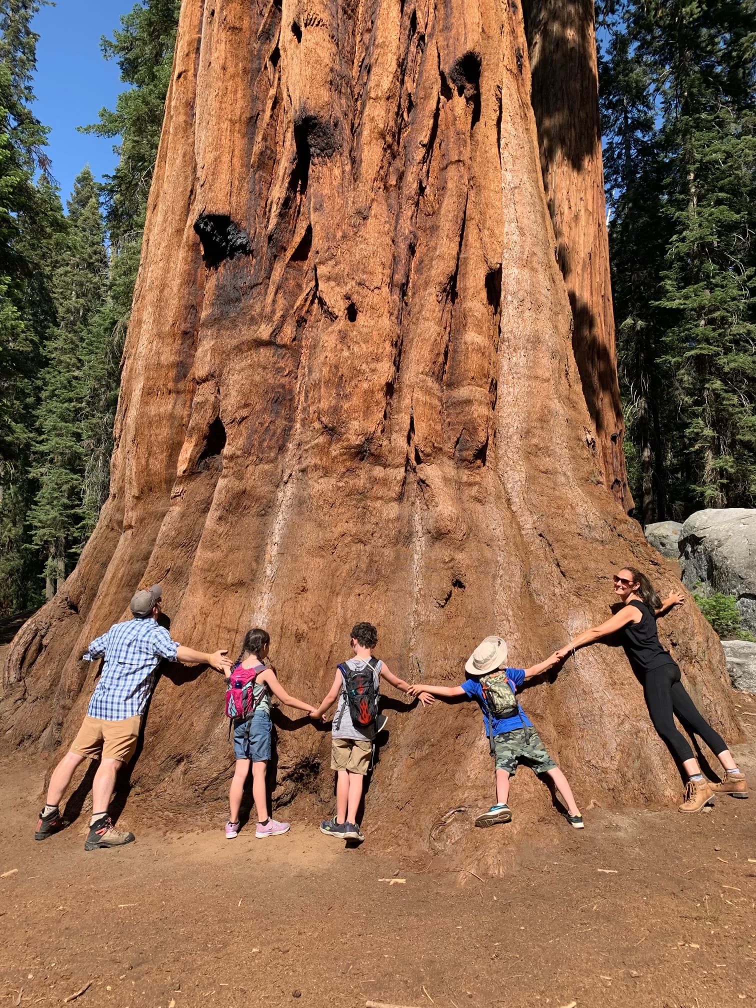 A family of four poses together beside a towering tree, outside in nature.