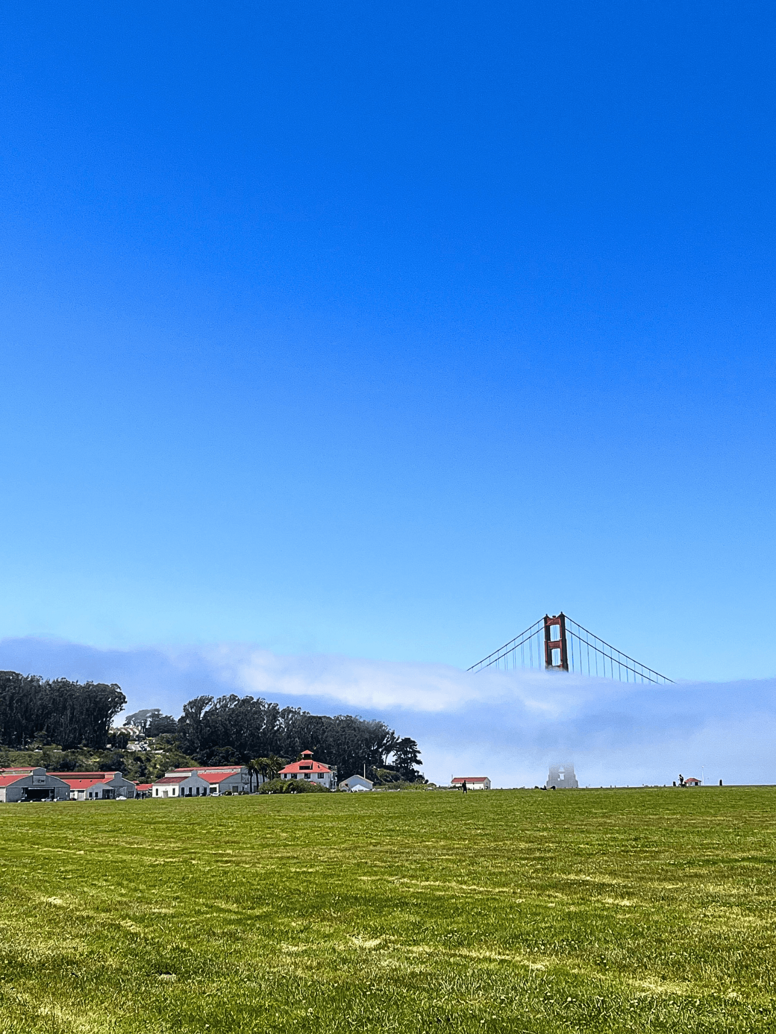 View from across a grassy field of the top of the Golden Gate Bridge seen above a thick cloud 