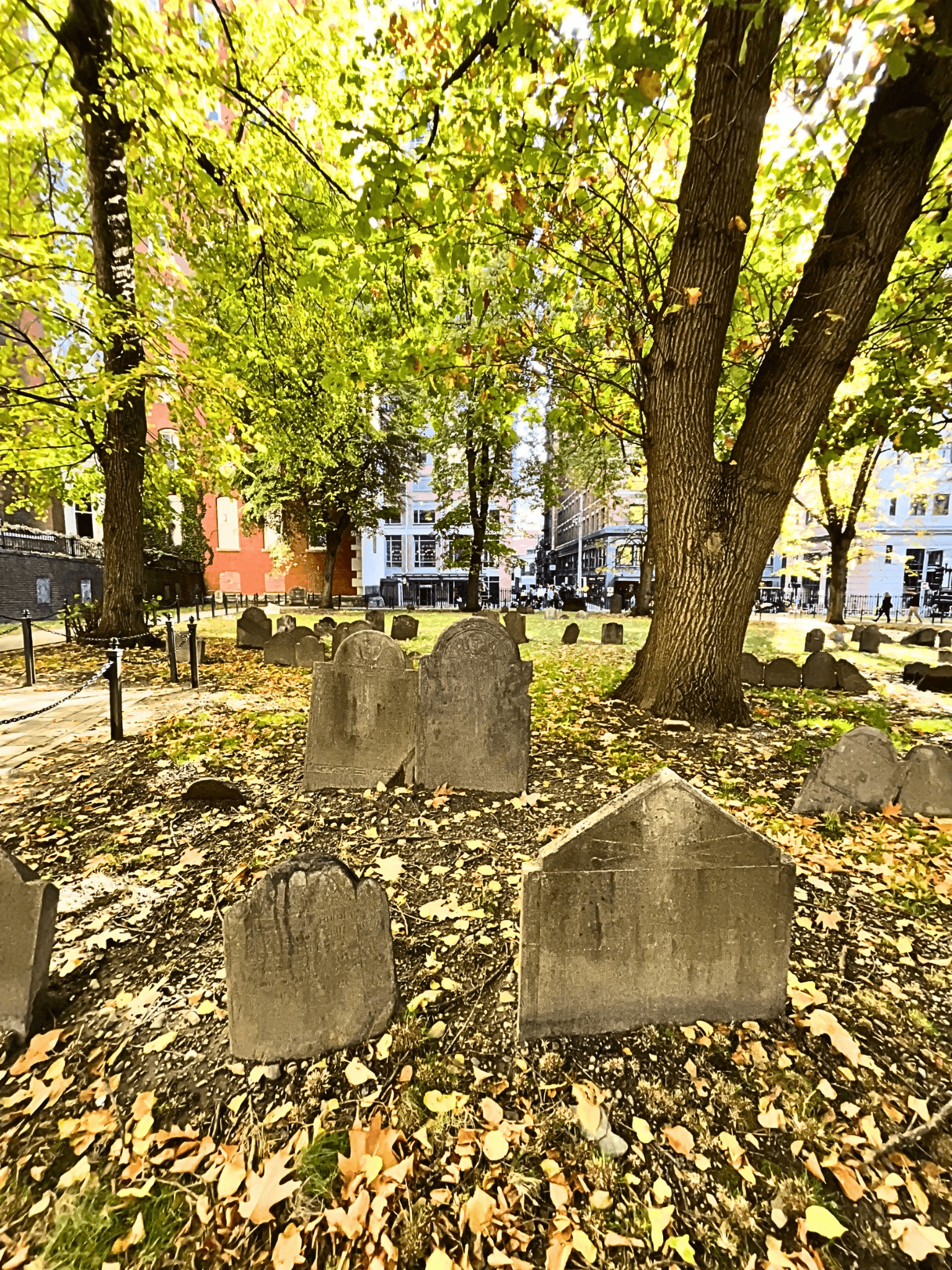 View of small tombstones in a cemetery surrounded by autumn leaves on a sunny day