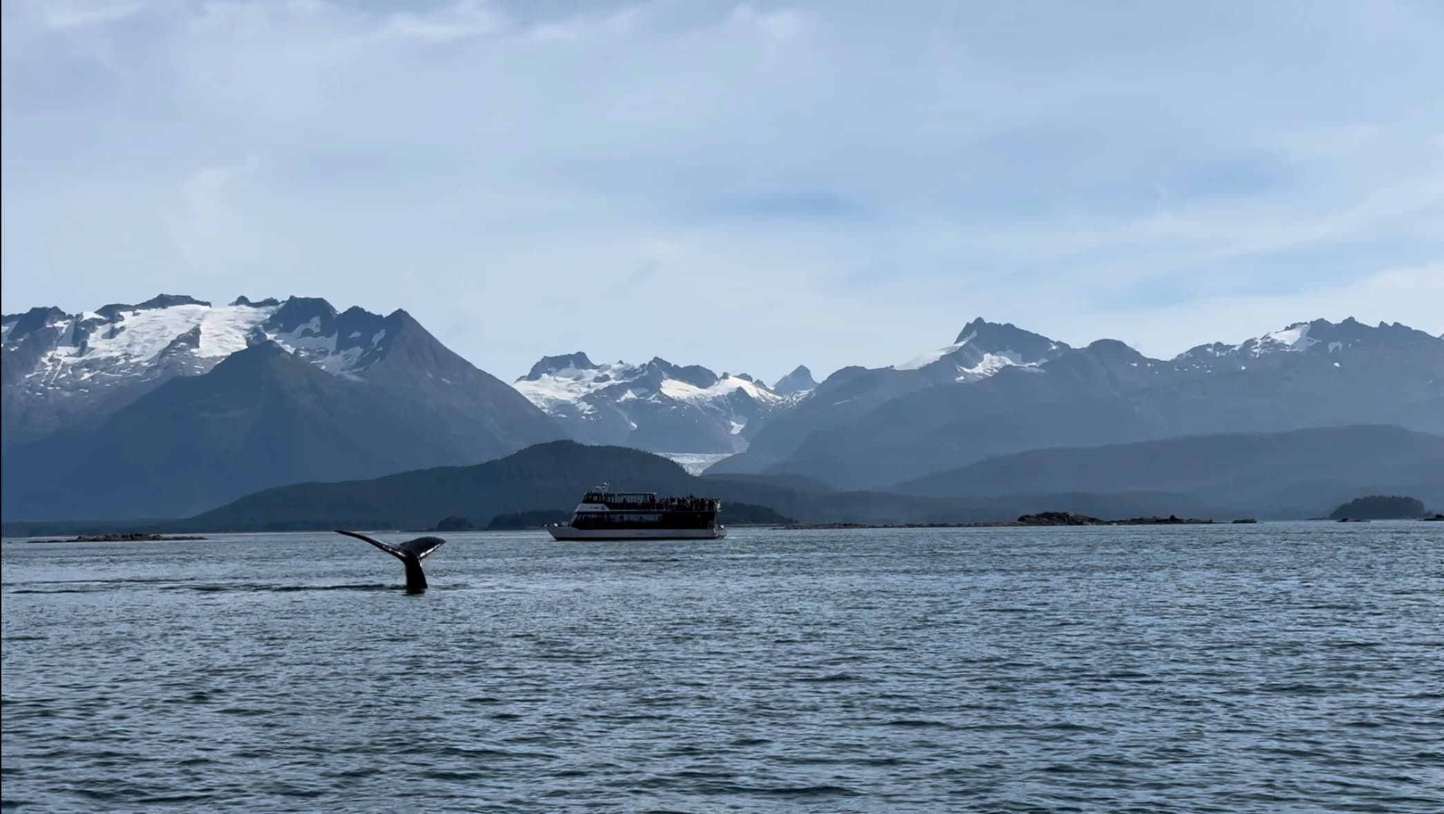 Beautiful view of a whale’s tail breaching the ocean’s surface with snowy mountains in the background