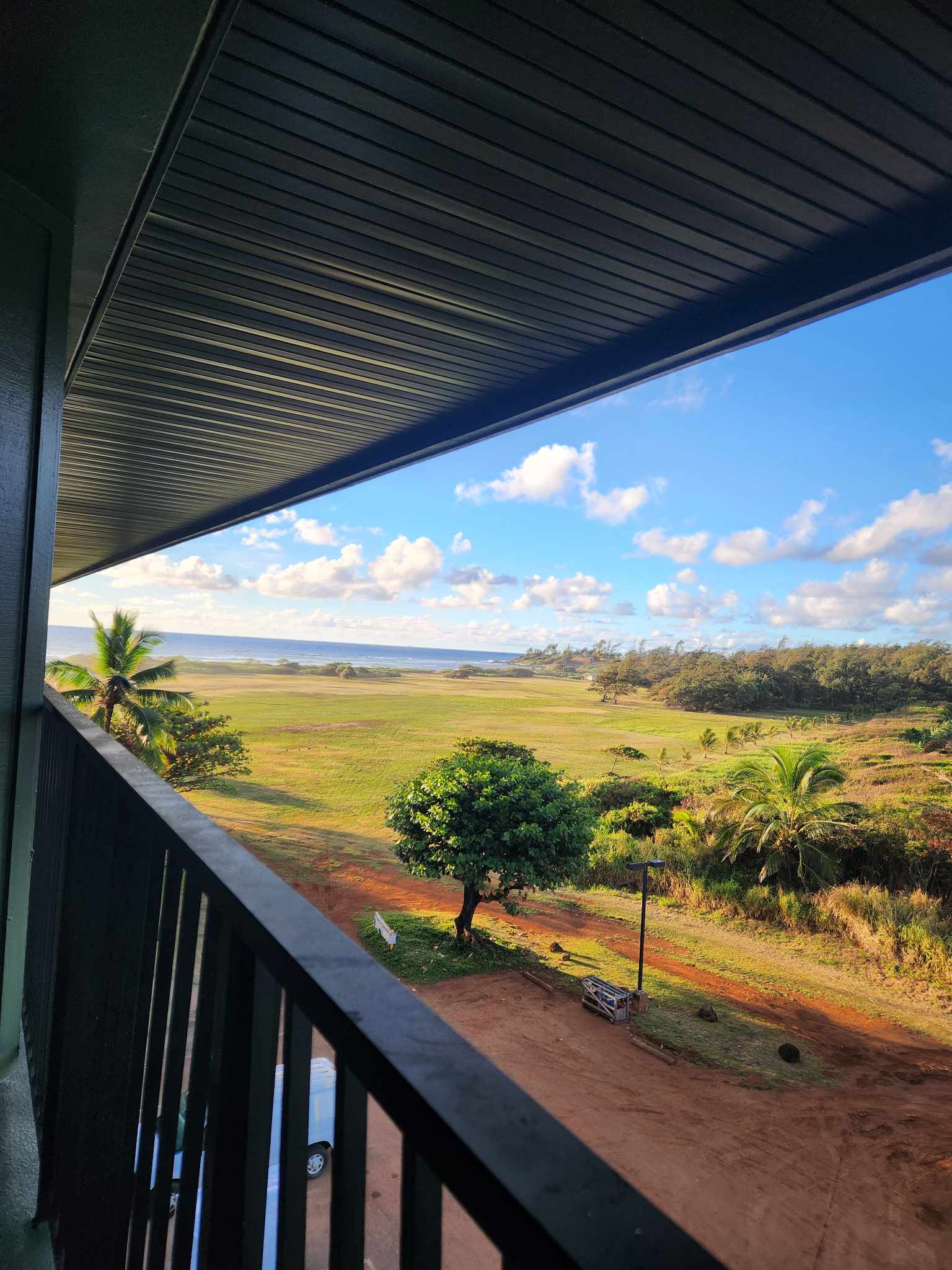 View of a beautiful grassy area with trees leading to the sea as seen from a balcony