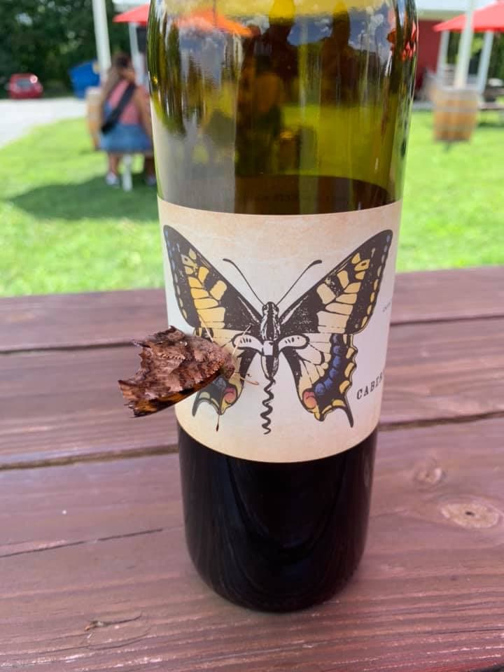 Butterfly.
