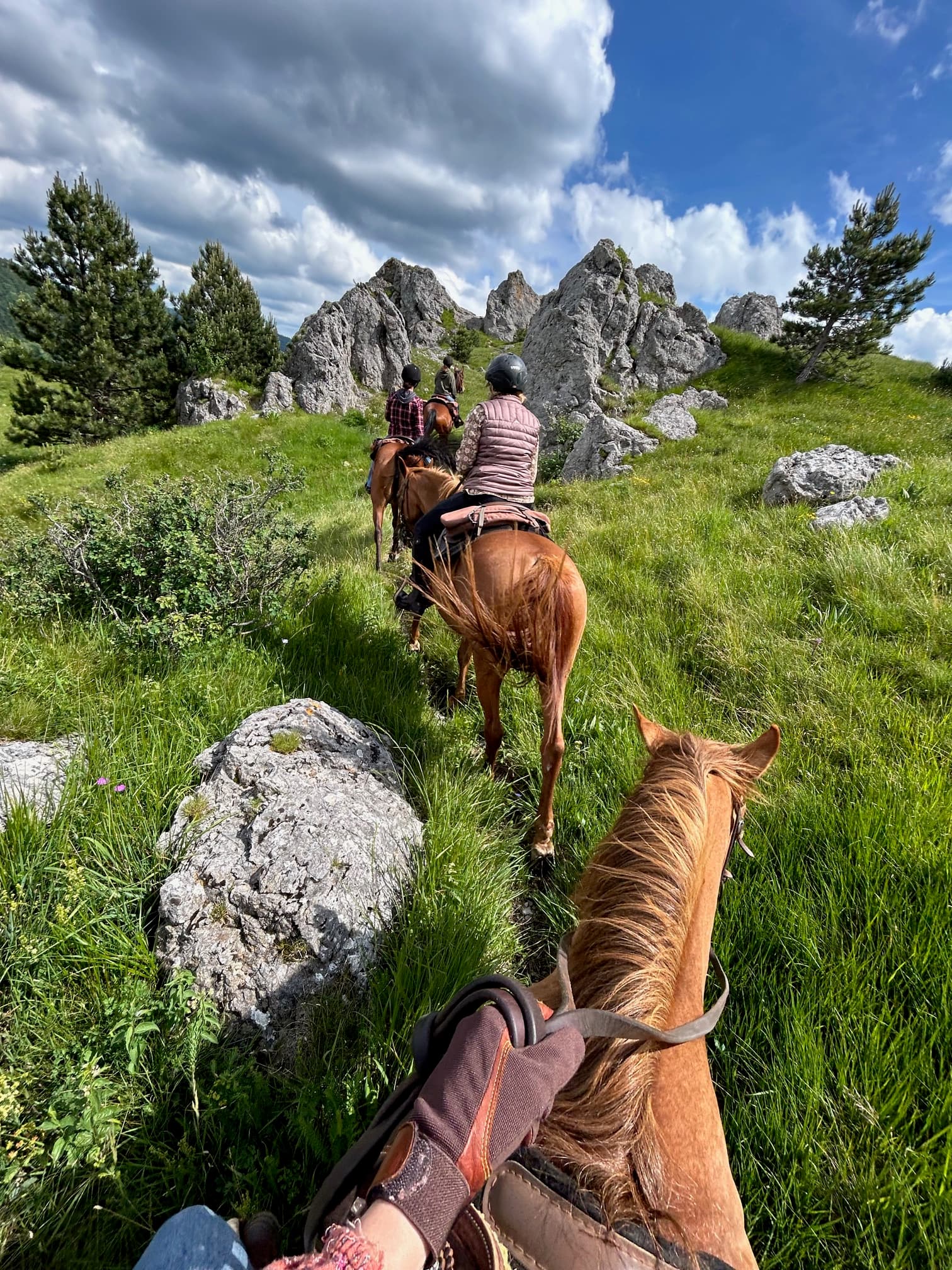 Two people riding horses through a field during the daytime
