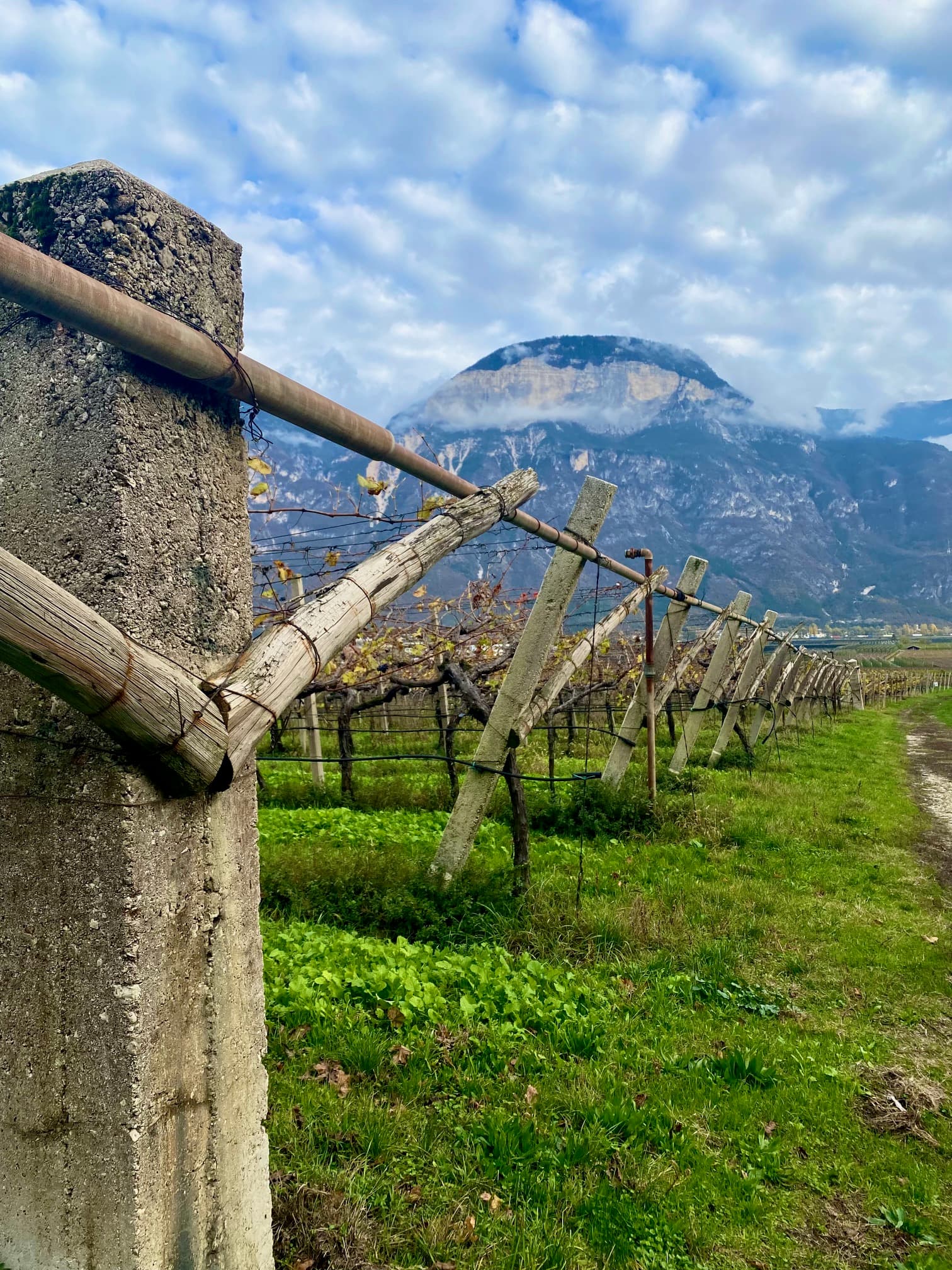A fence in a field with mountains in the distance