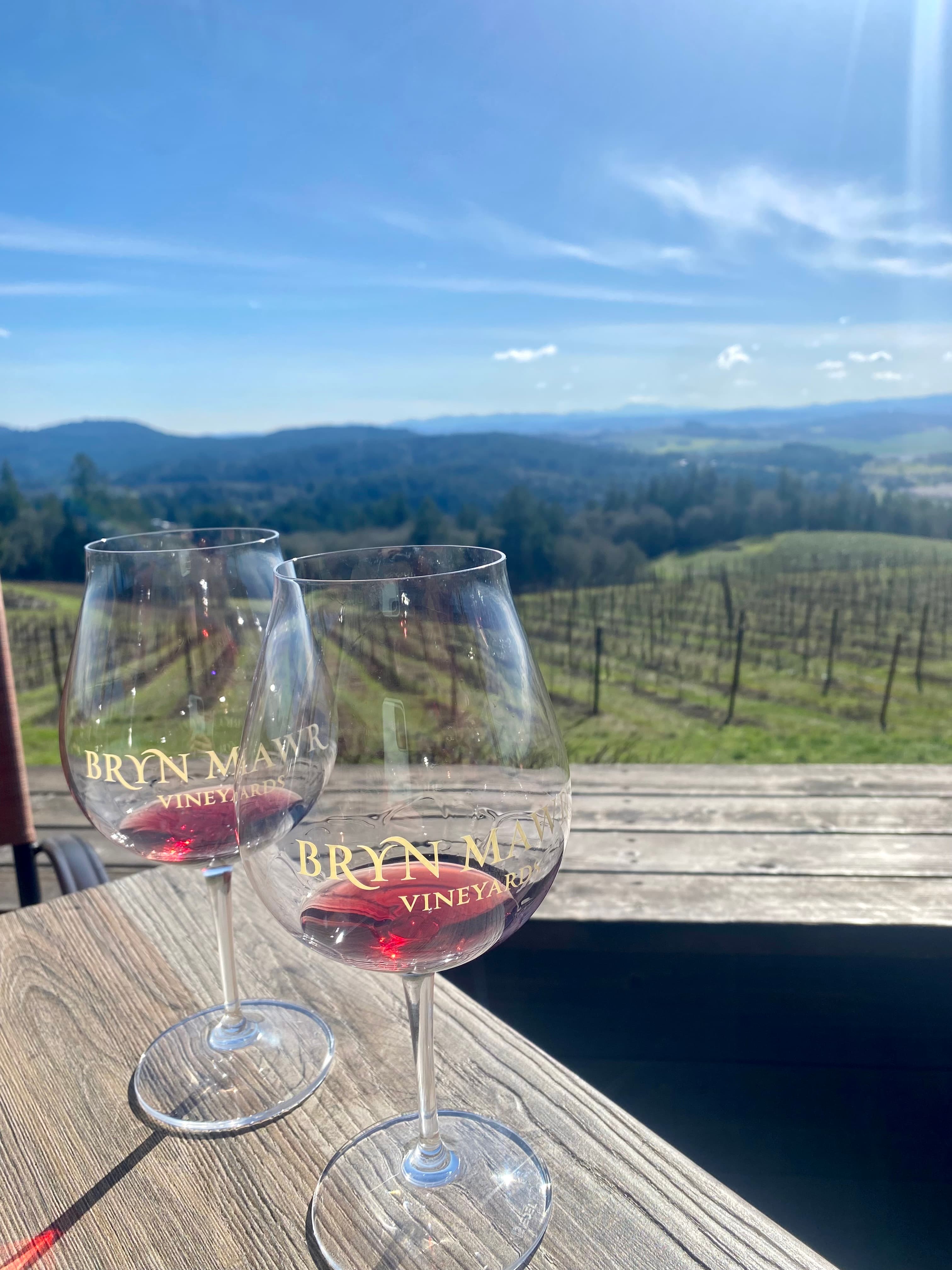 Two glasses of wine sitting on a fence in front of a field during the daytime