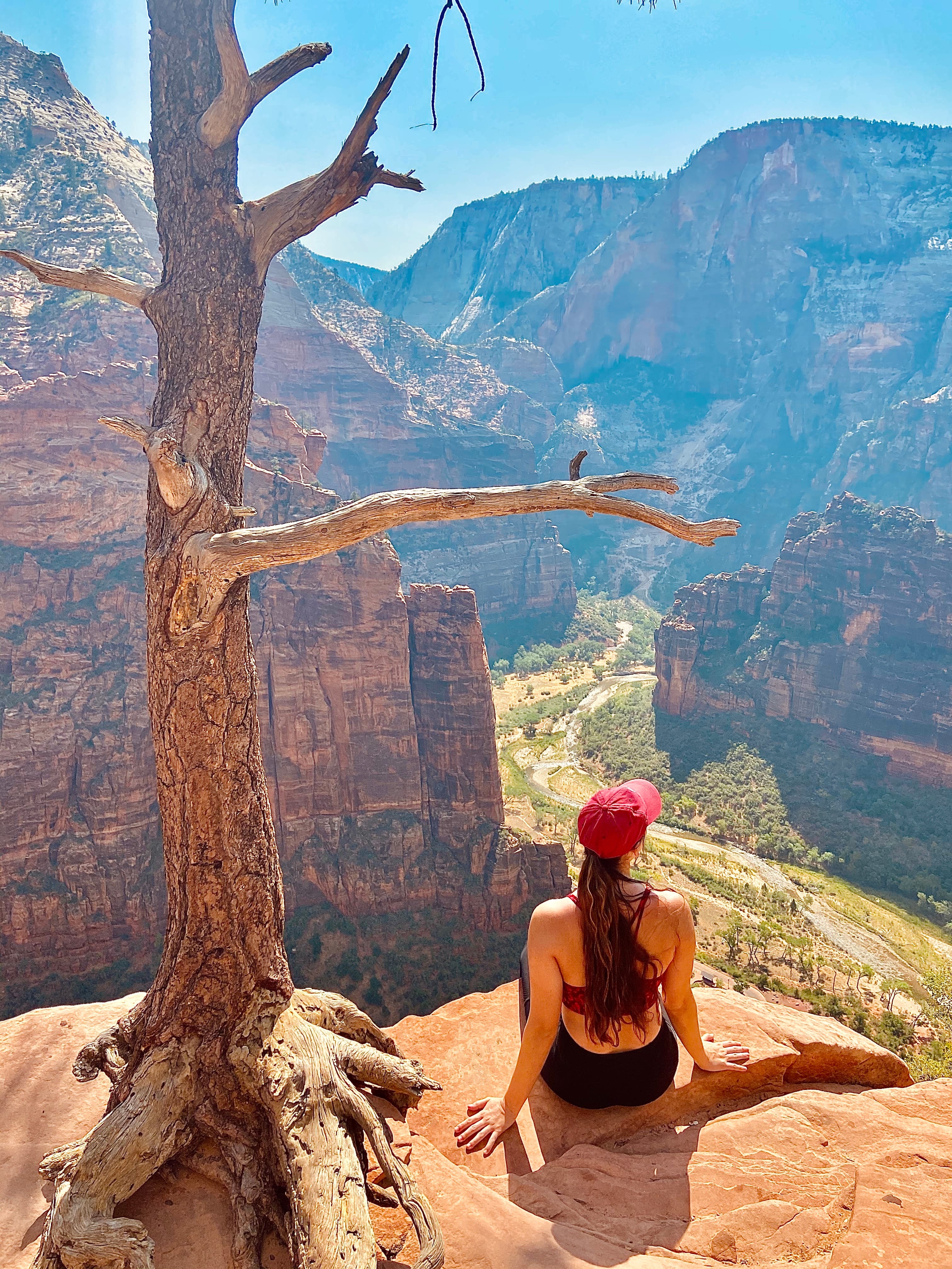A view of a person sitting at the edge of a cliff with a tree above her as she looks out to desert-like terrain surrounded by canyons. 