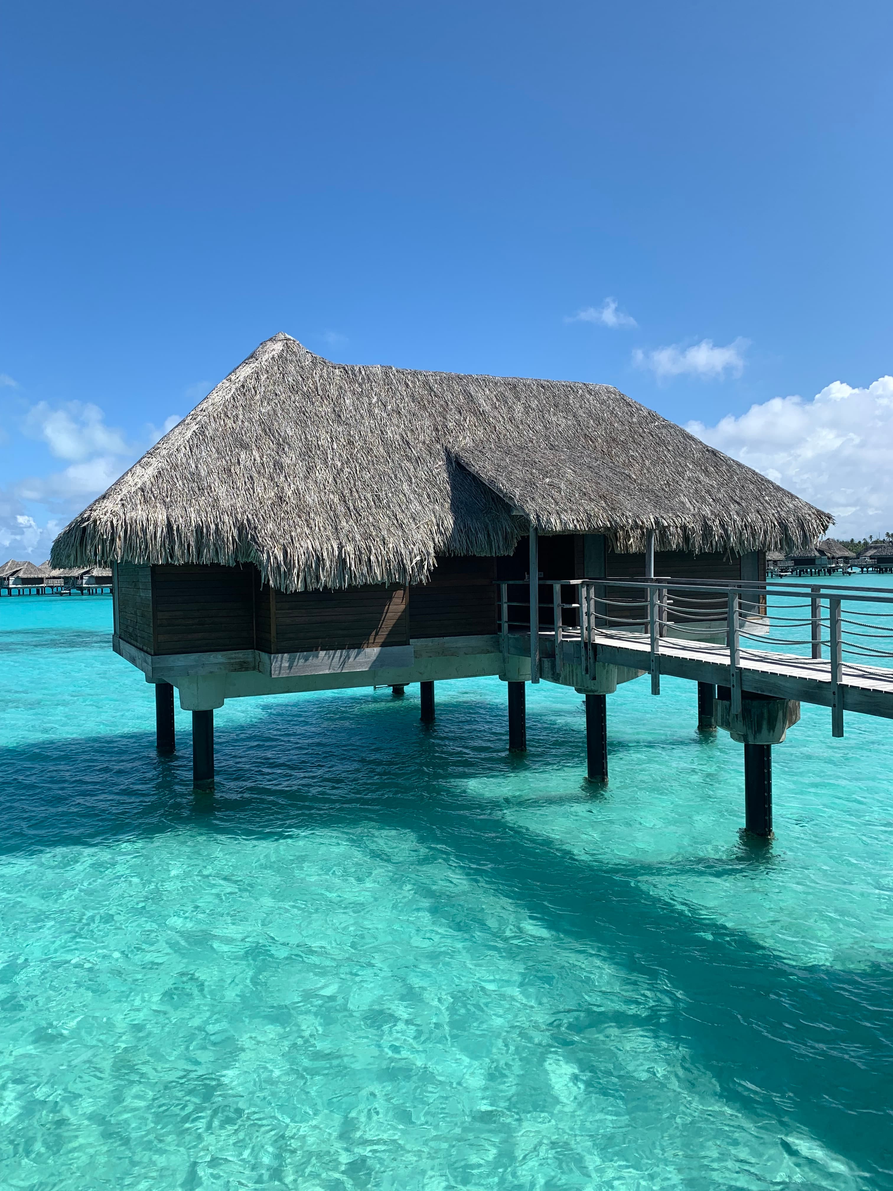 A hatch-roof cabana on stilts above crystal-clear waters on a sunny day. 