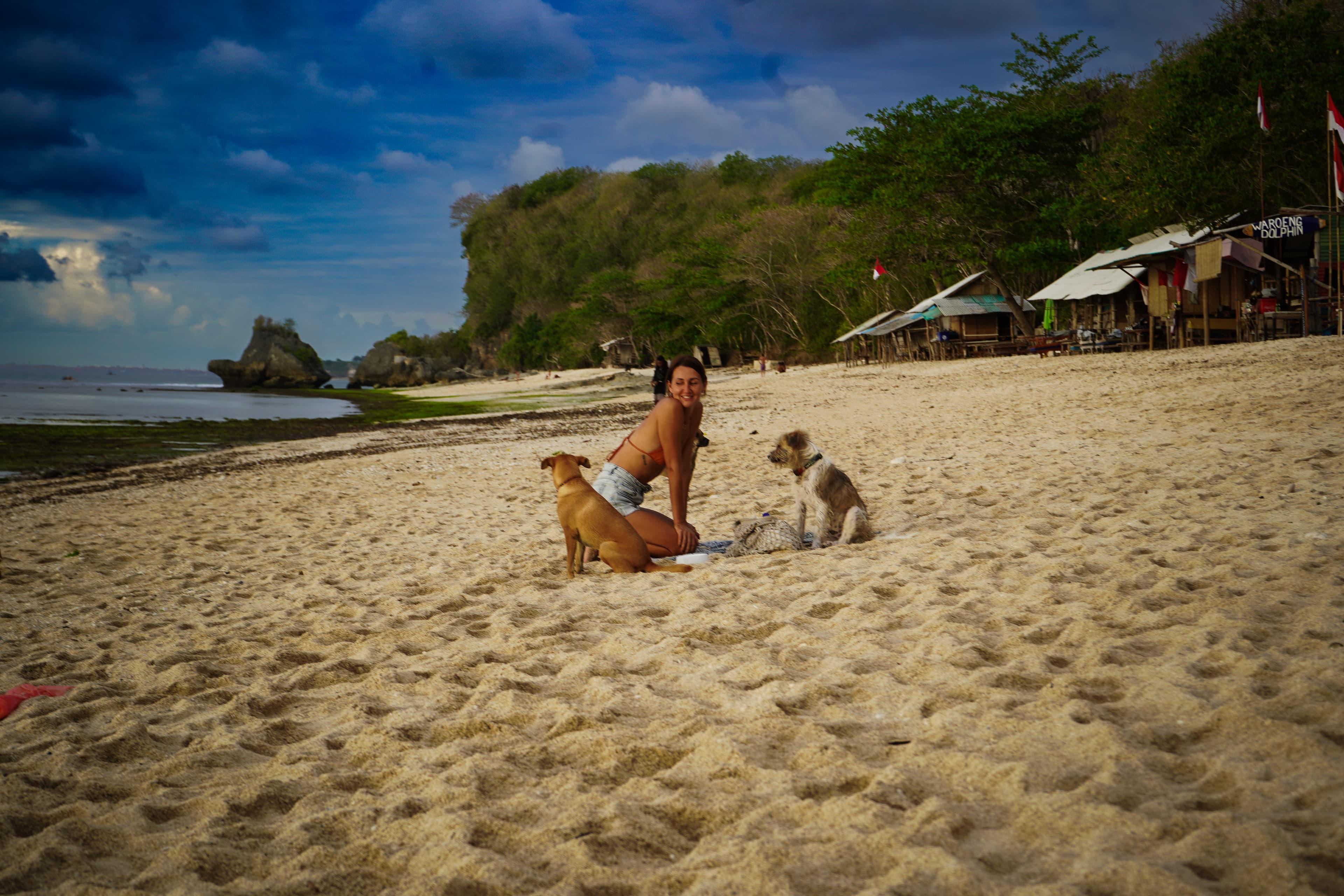 View of a girl and two dogs on a wide empty beach