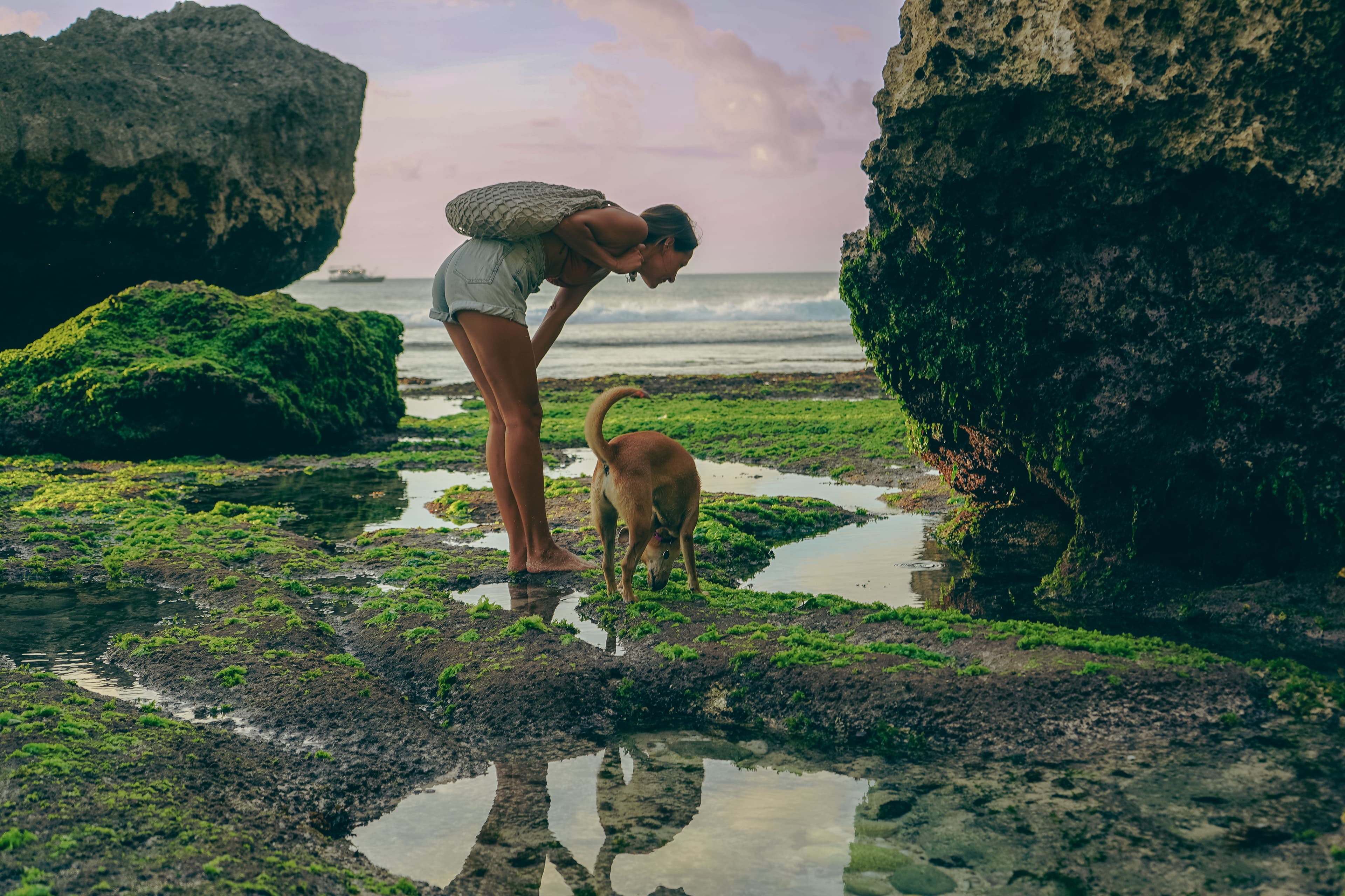 View of a girl and a dog walking through tide pools at sundown
