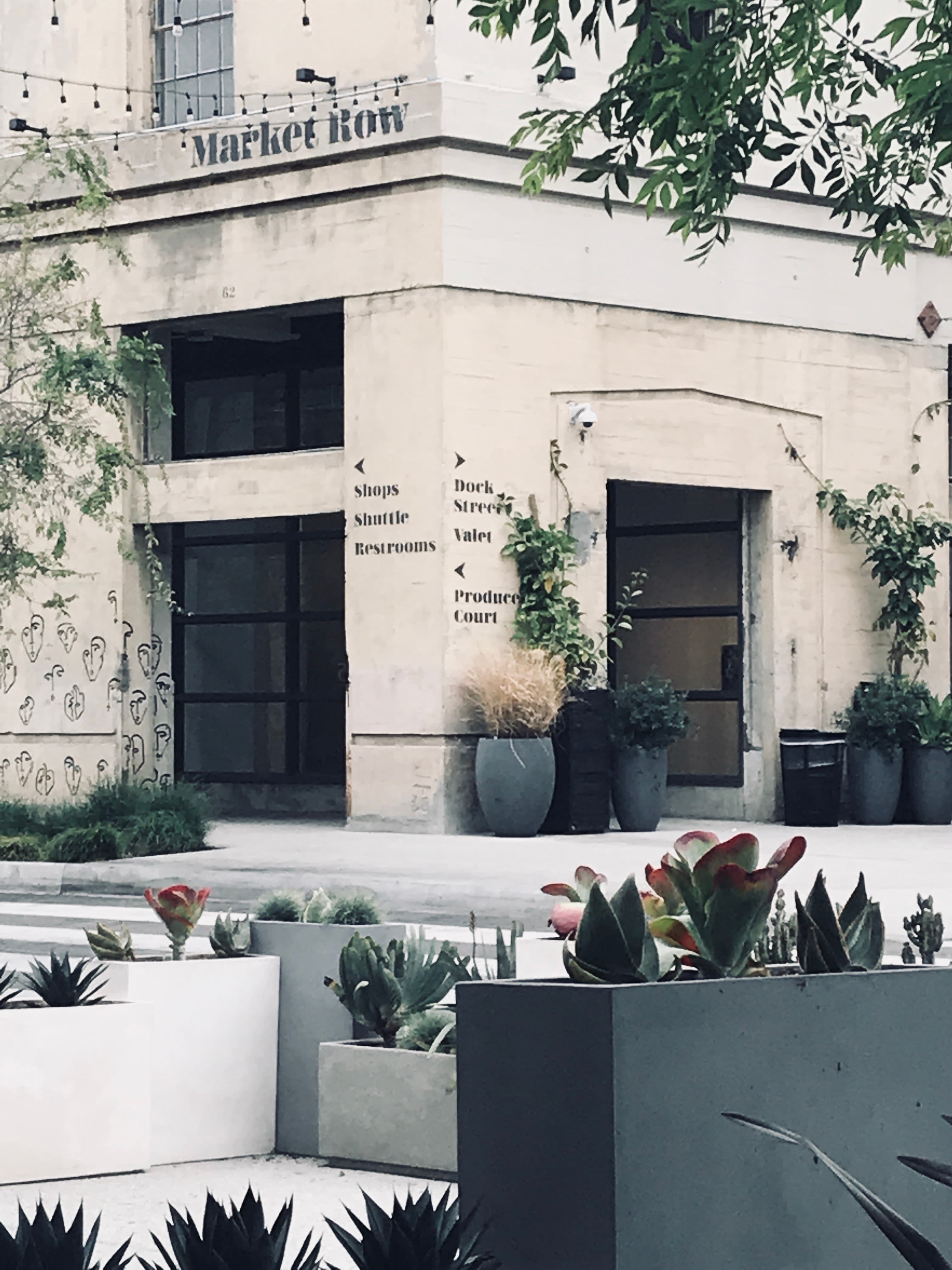 A building stands tall with lush green plants adorning the front, creating a harmonious blend of architecture and nature.