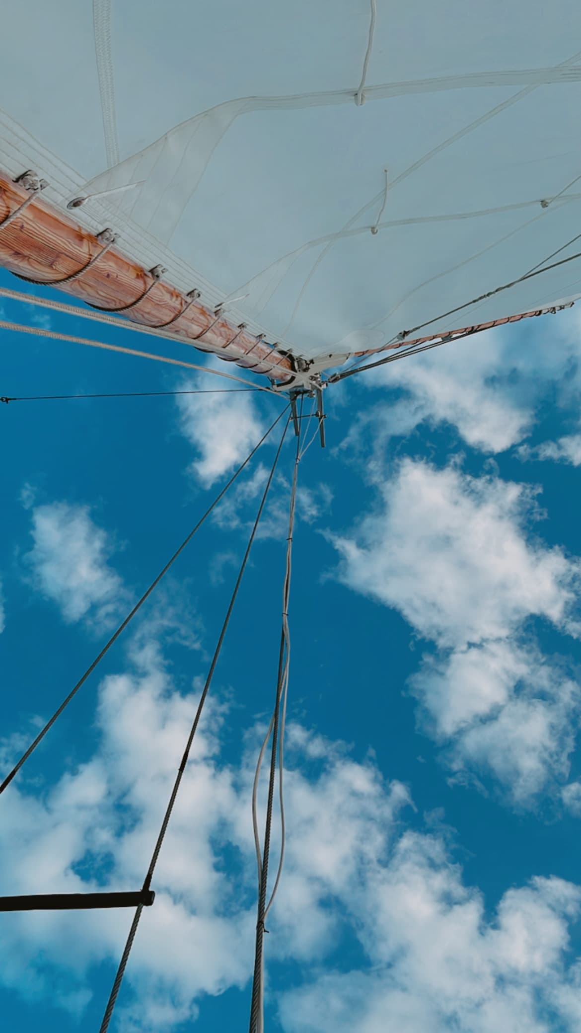 amy-szymanski-image-carousel-2