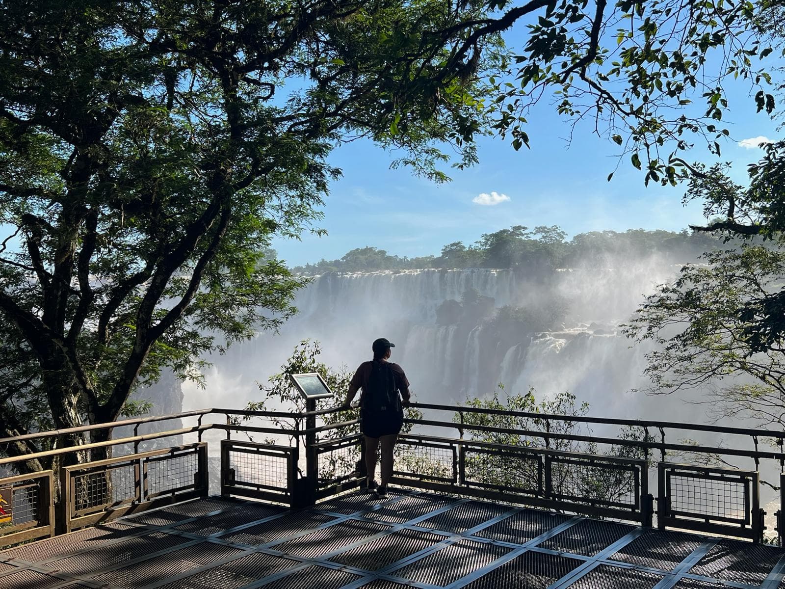 Advisor standing at a viewpoint overlooking a giant waterfall on a sunny day