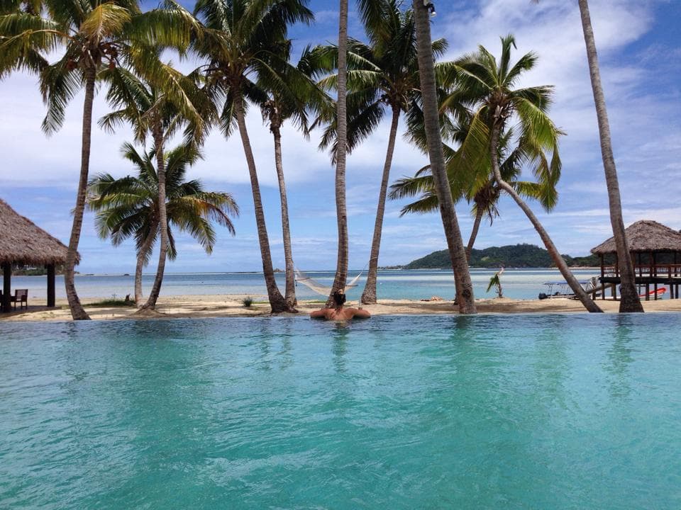 Palm trees in Fiji.
