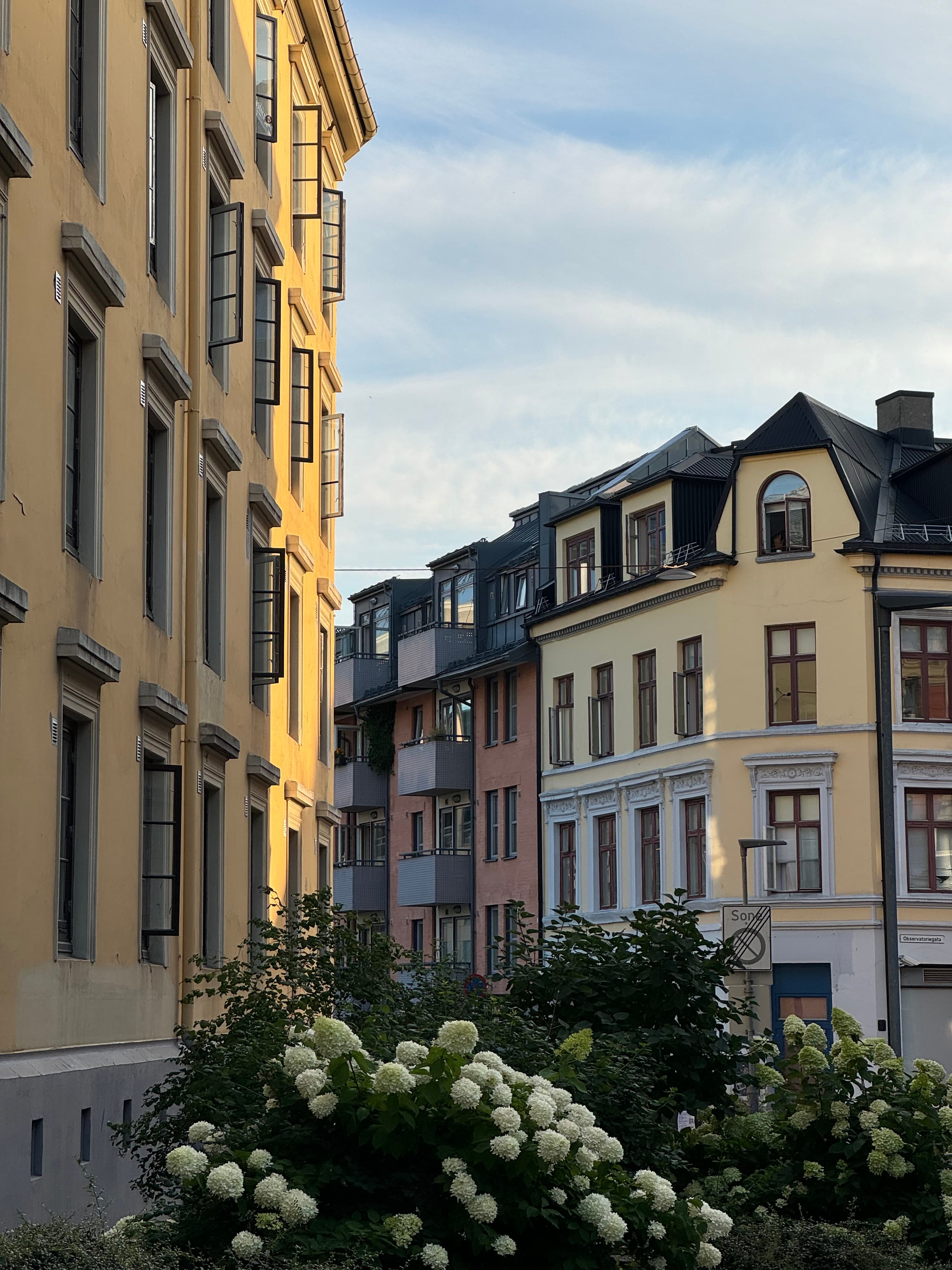 Yellow buildings.