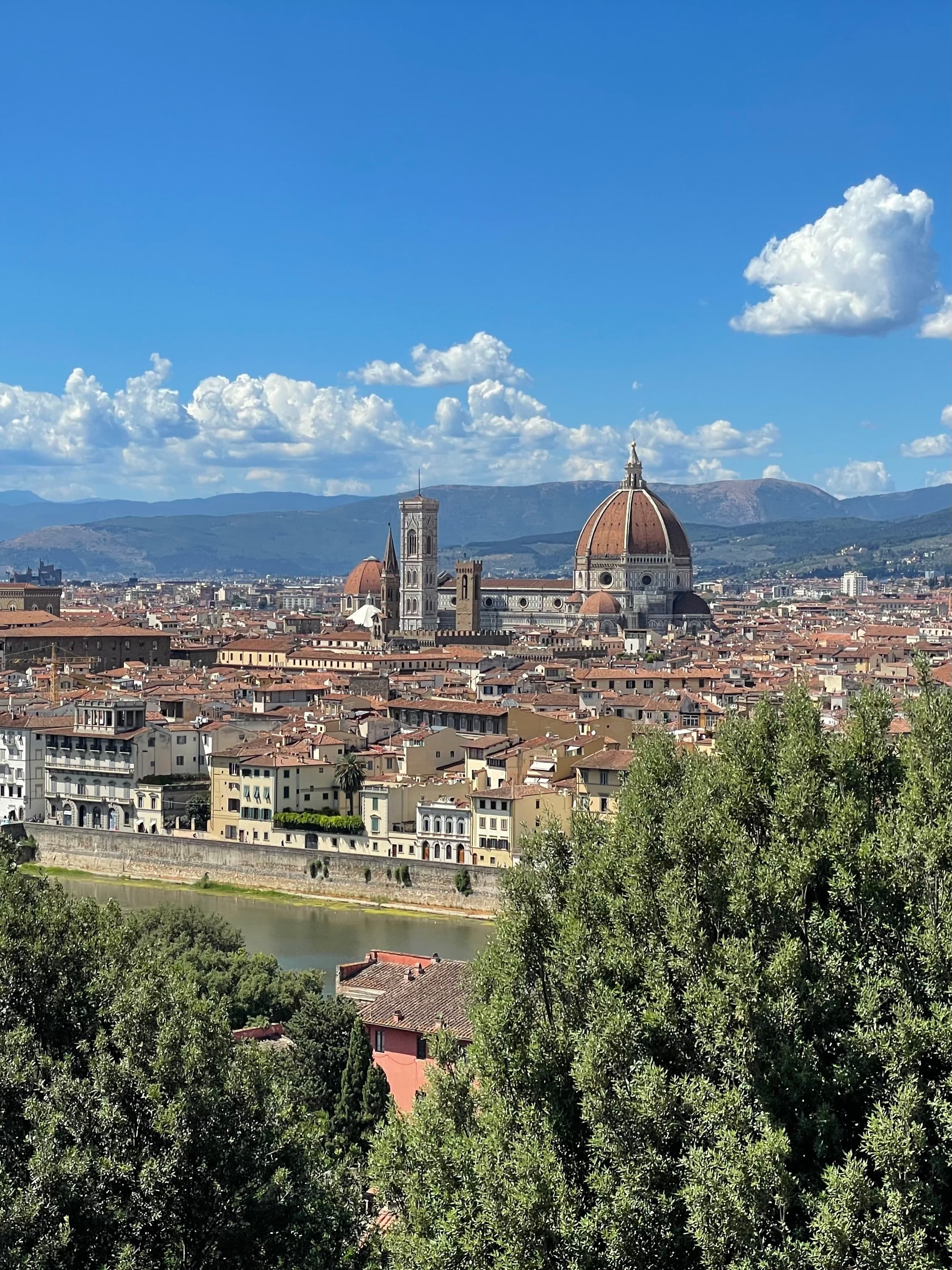 Panoramic view of the Duomo and Florence cityscape on a sunny day