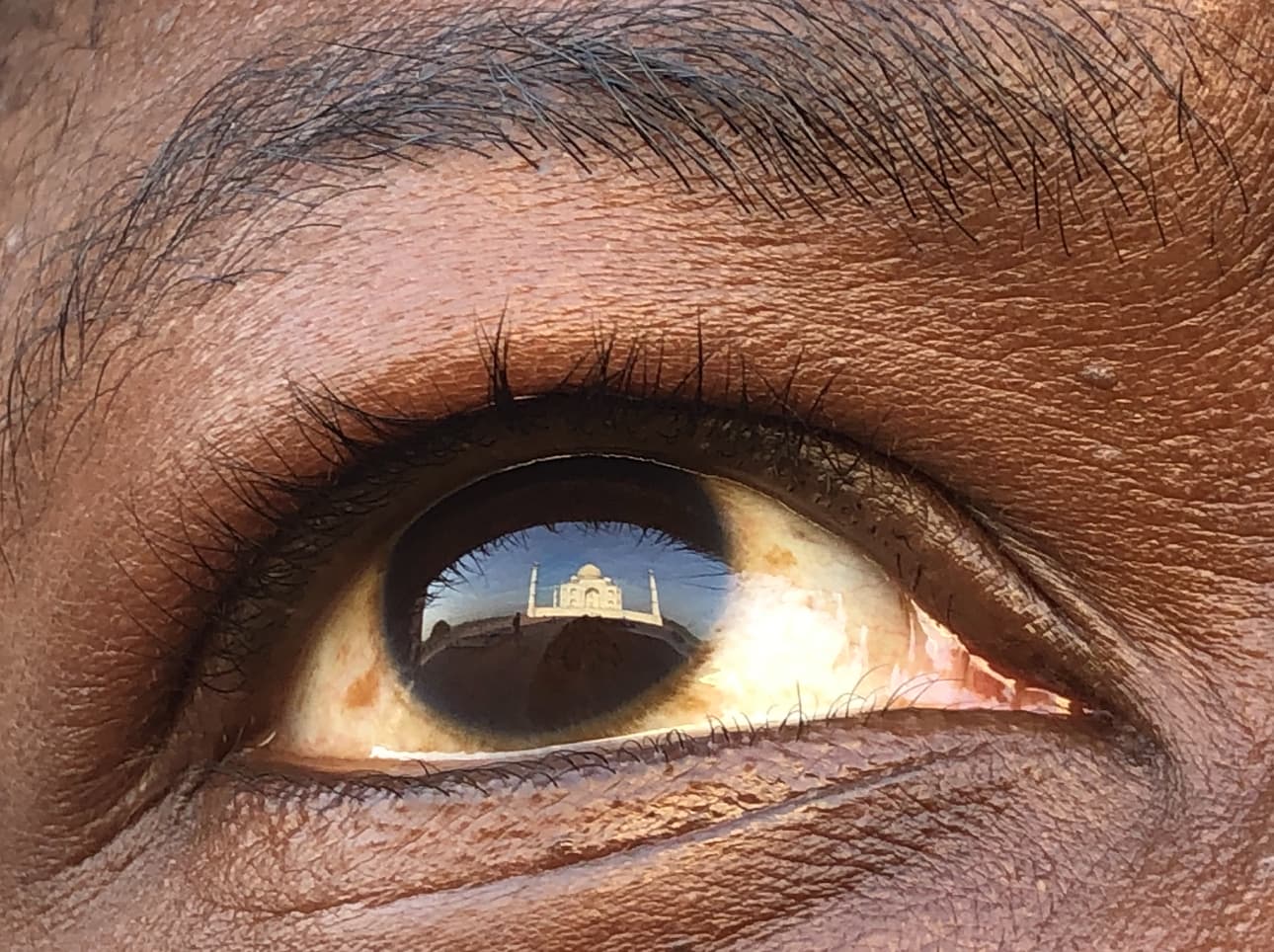 Close up view of a brown eye