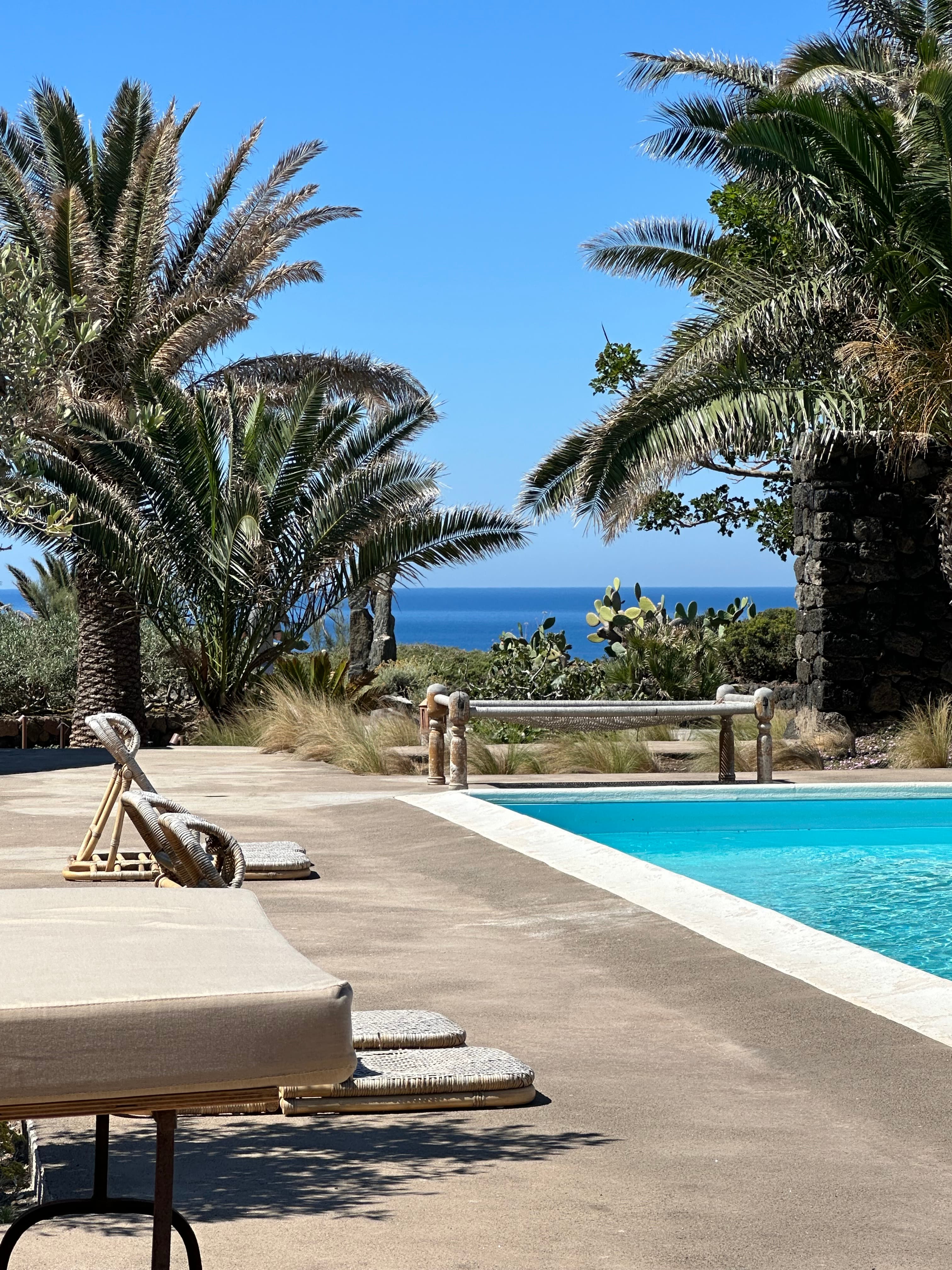 Palm trees by the pool.
