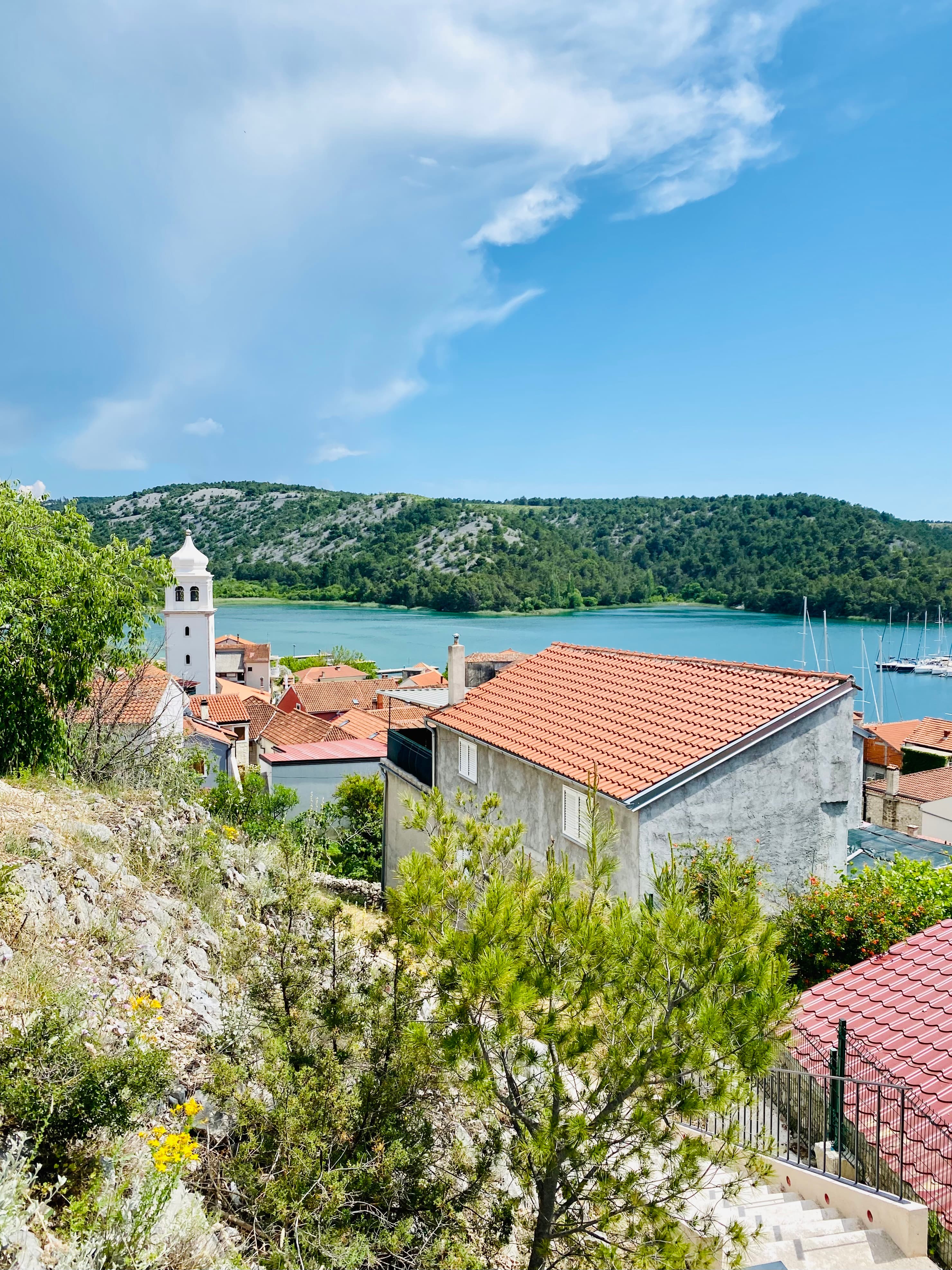 A panoramic view from a hill overlooking the town and water during the daytime.
