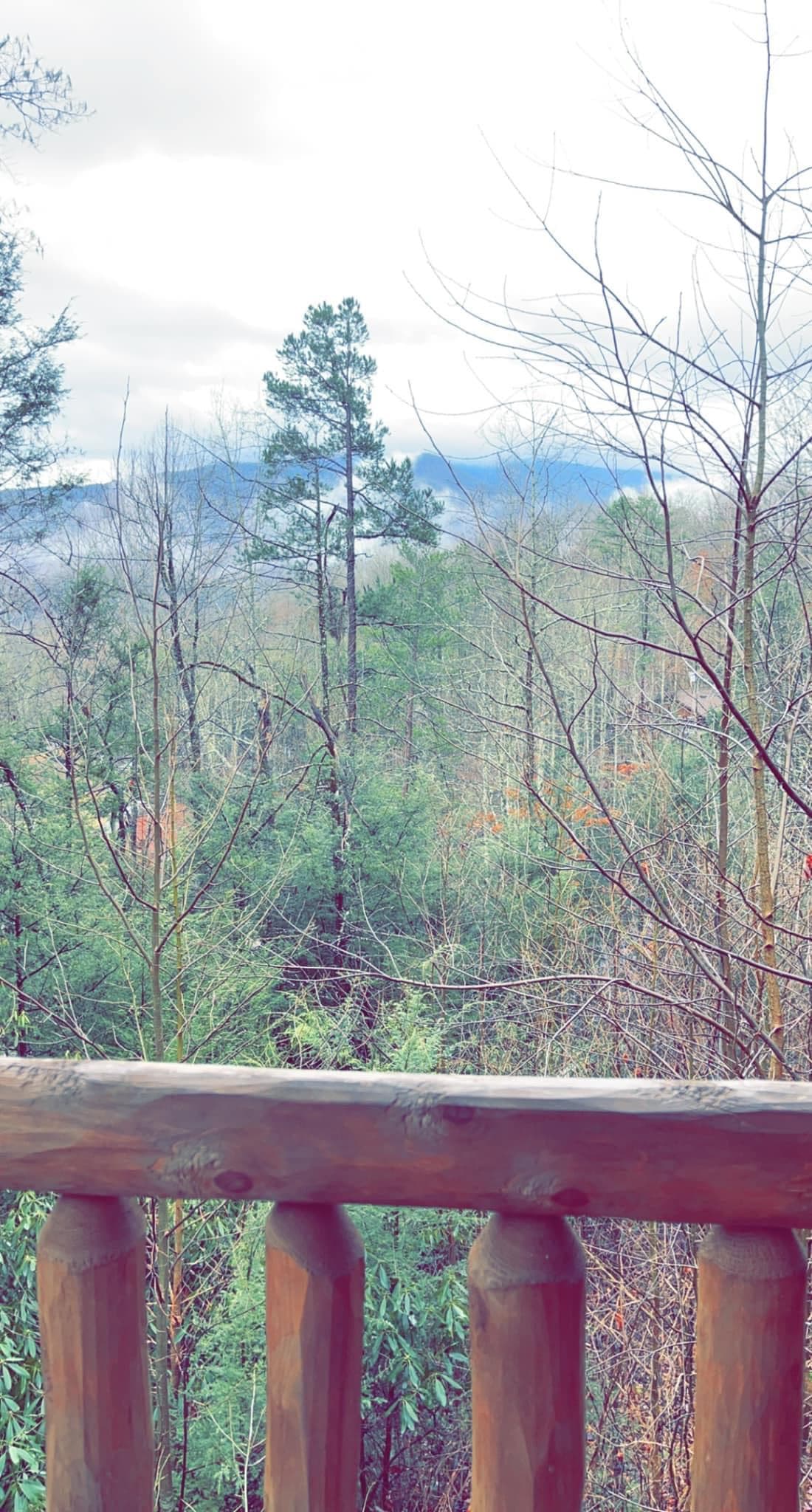 View of the woods seen from a wooden balcony on a cloudy day