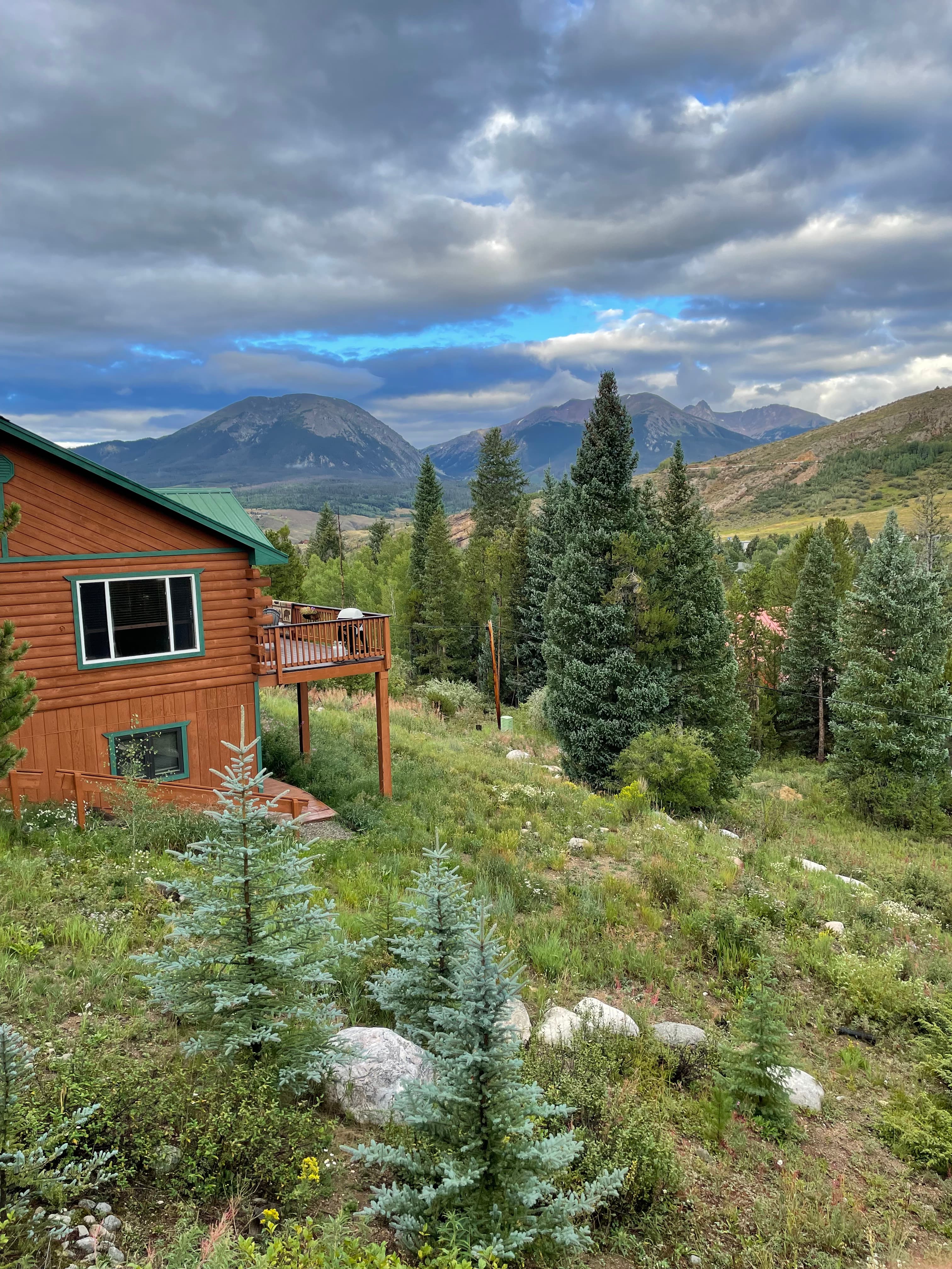 Green hills and forest.