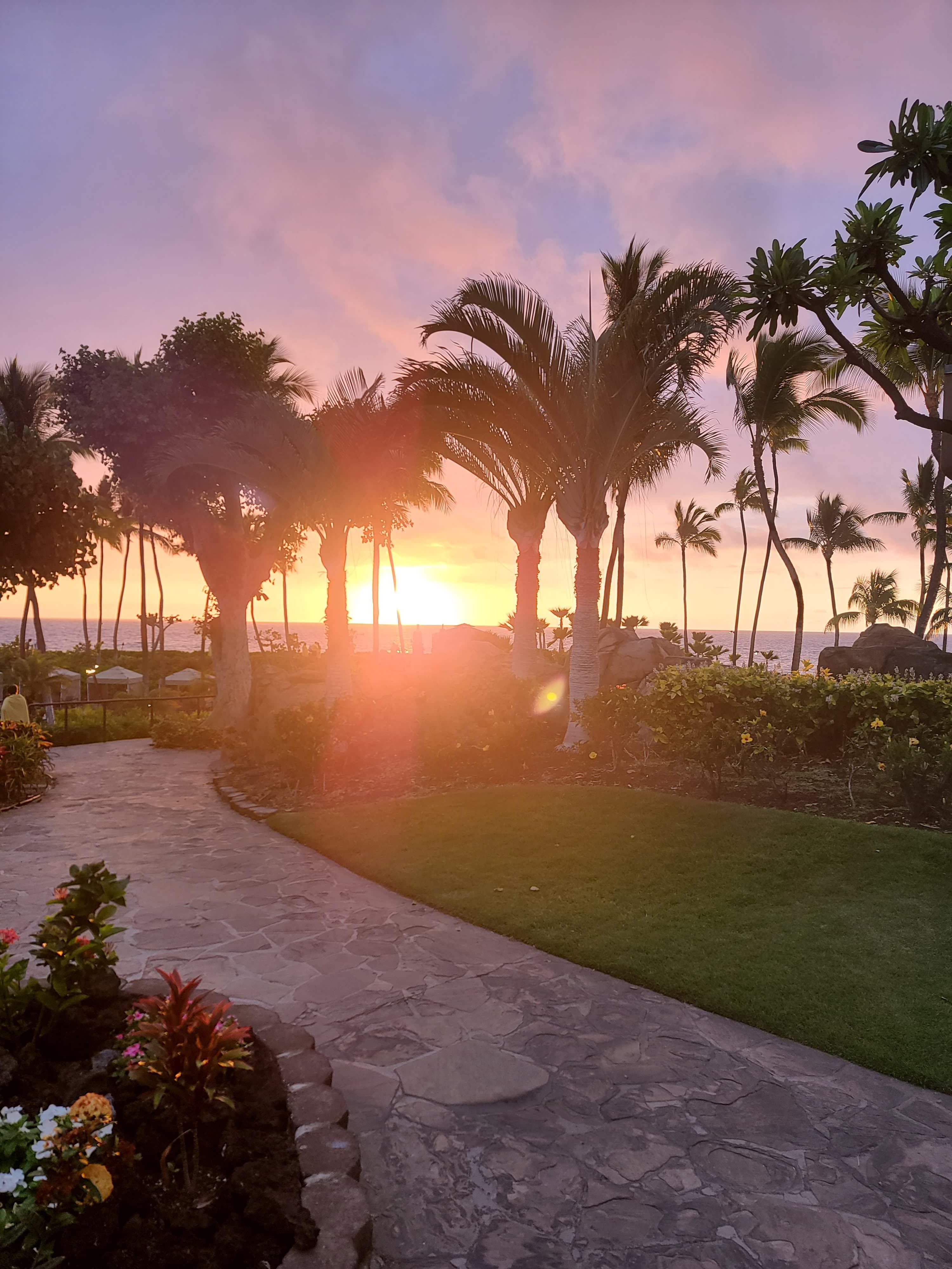 A view of the beach at sunset with a sand path, green grass lawn and the silhouette of palm trees against the sky.