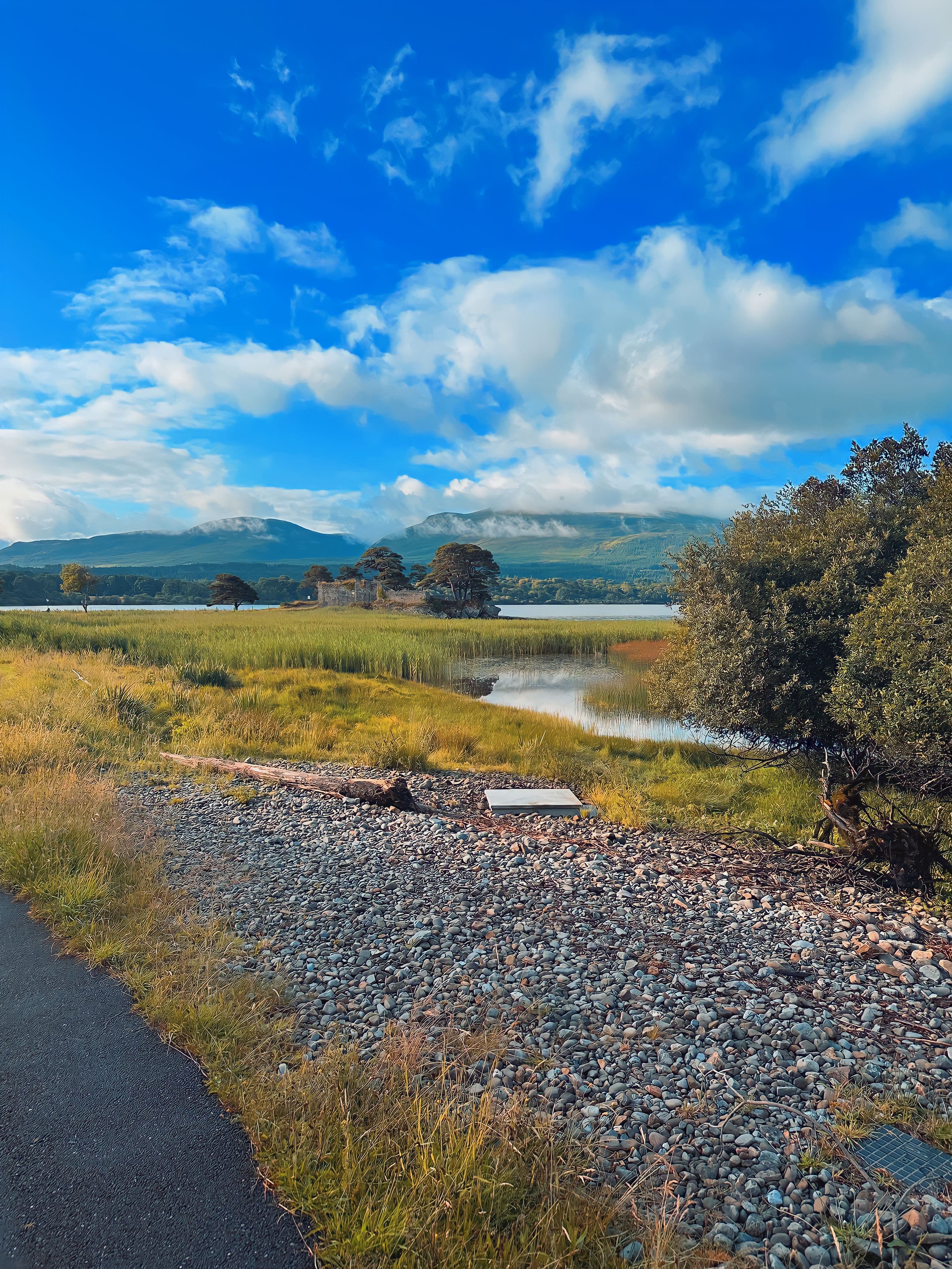 A view of a rocky riverbed with trees and tall green grasses along the river and mountains in the distance on a partly cloudy day.