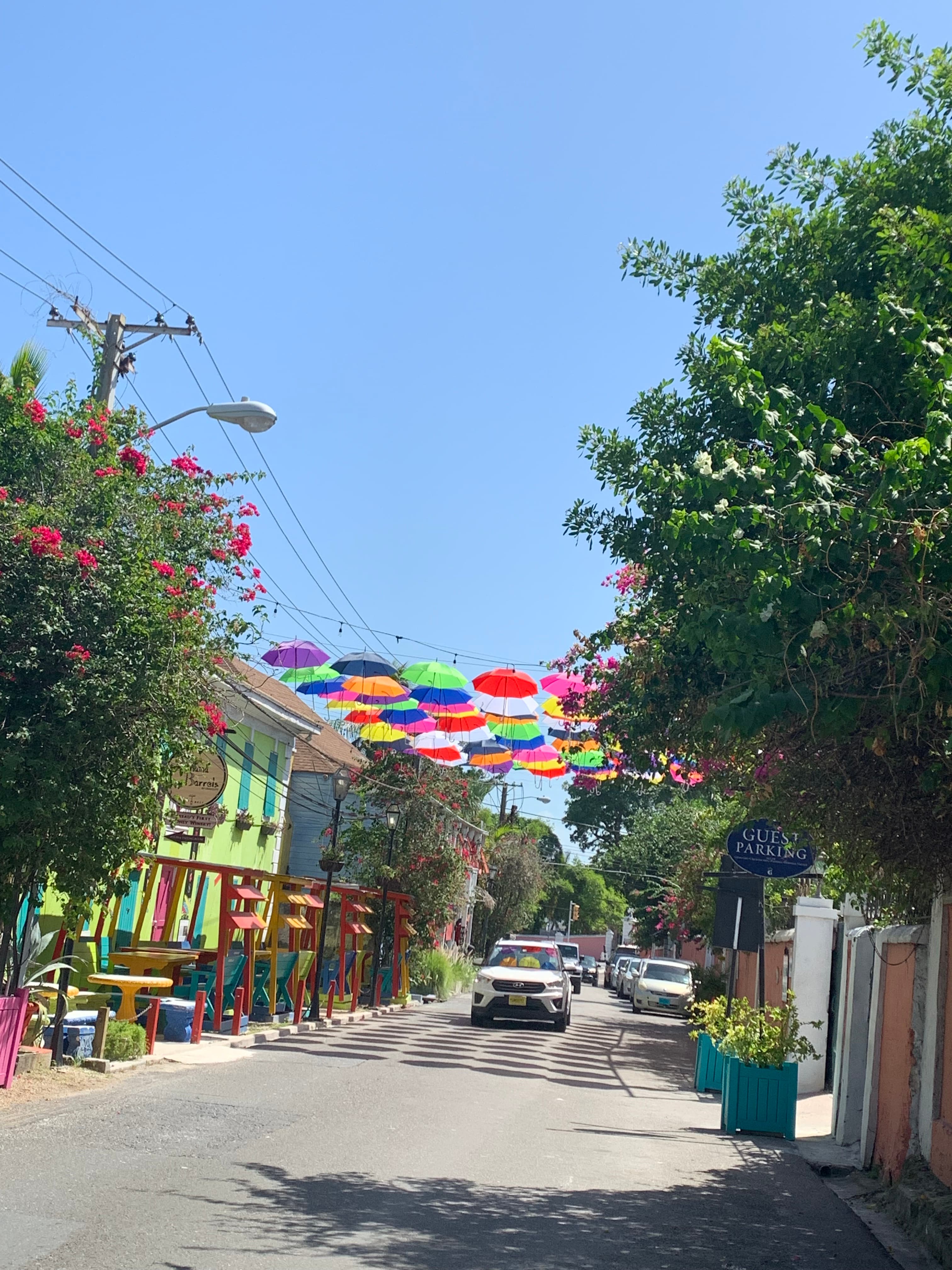 Colorful umbrellas over the street.