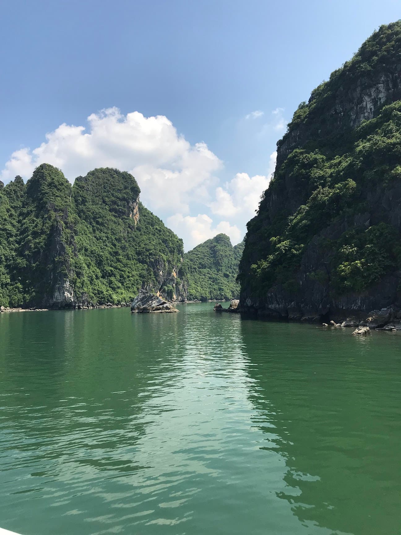 View from a boat of lush green rocks and a green sea on a sunny day