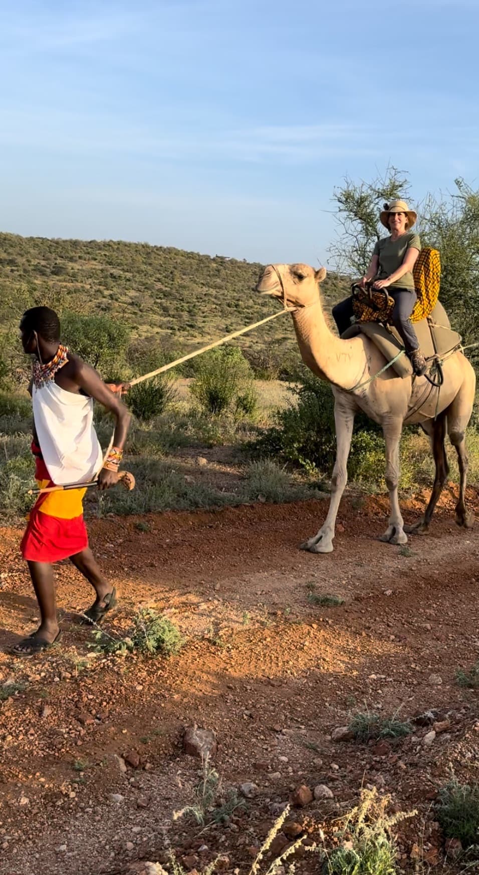 View of a man leading a camel with a rope with the advisor on its back