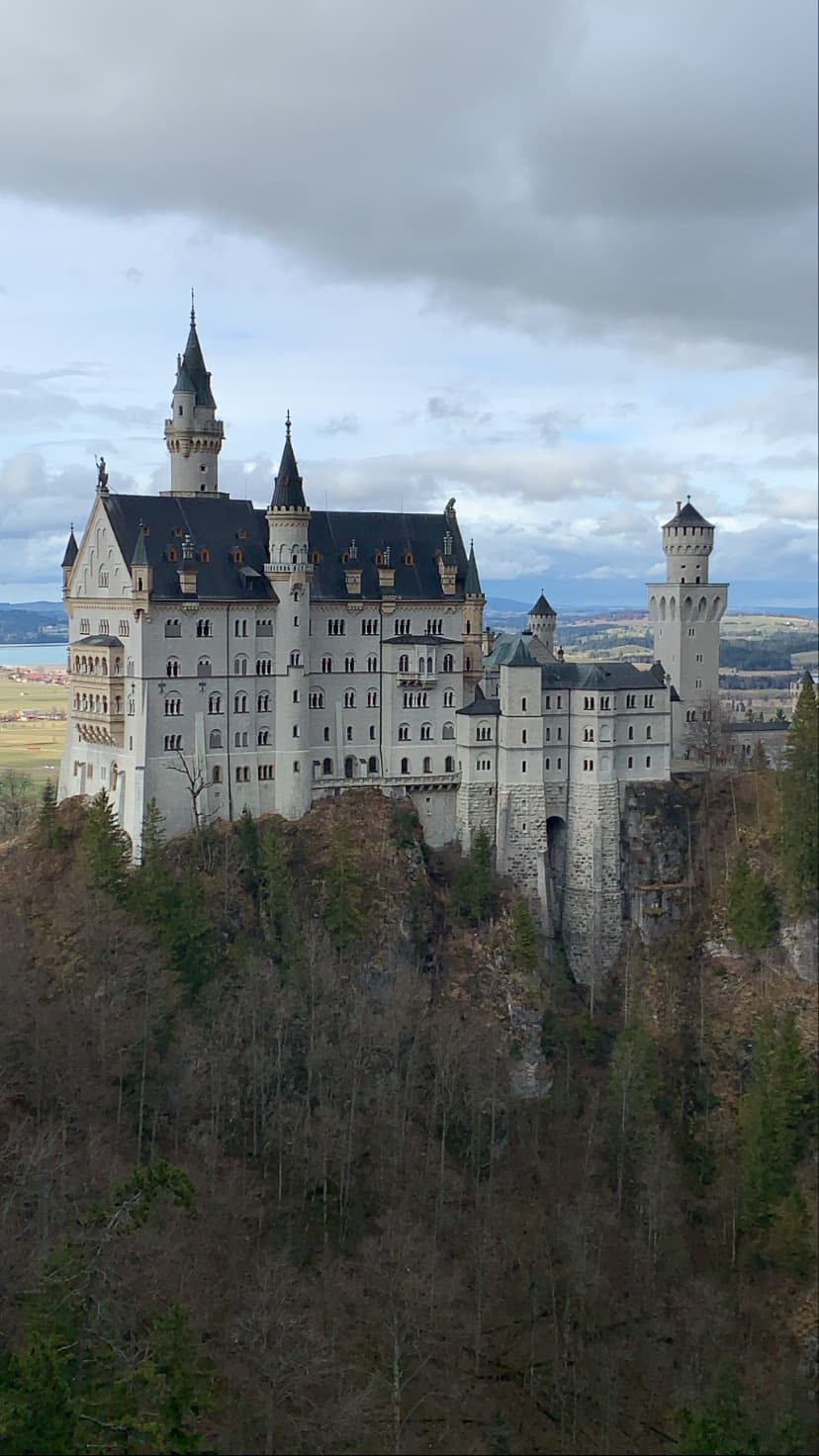 Large castle over the forest.