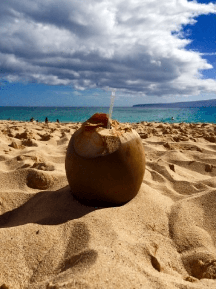 View of a beverage in a coconut sitting on the sand with a turquoise sea visible behind it